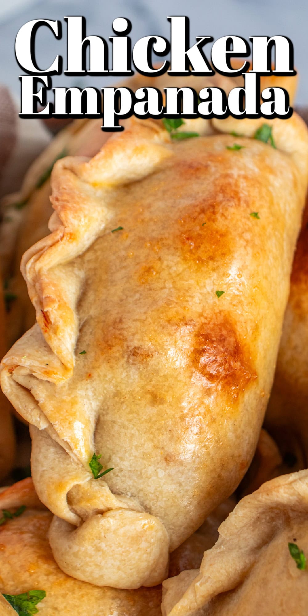 Chicken Empanadas Recipe Pin. 