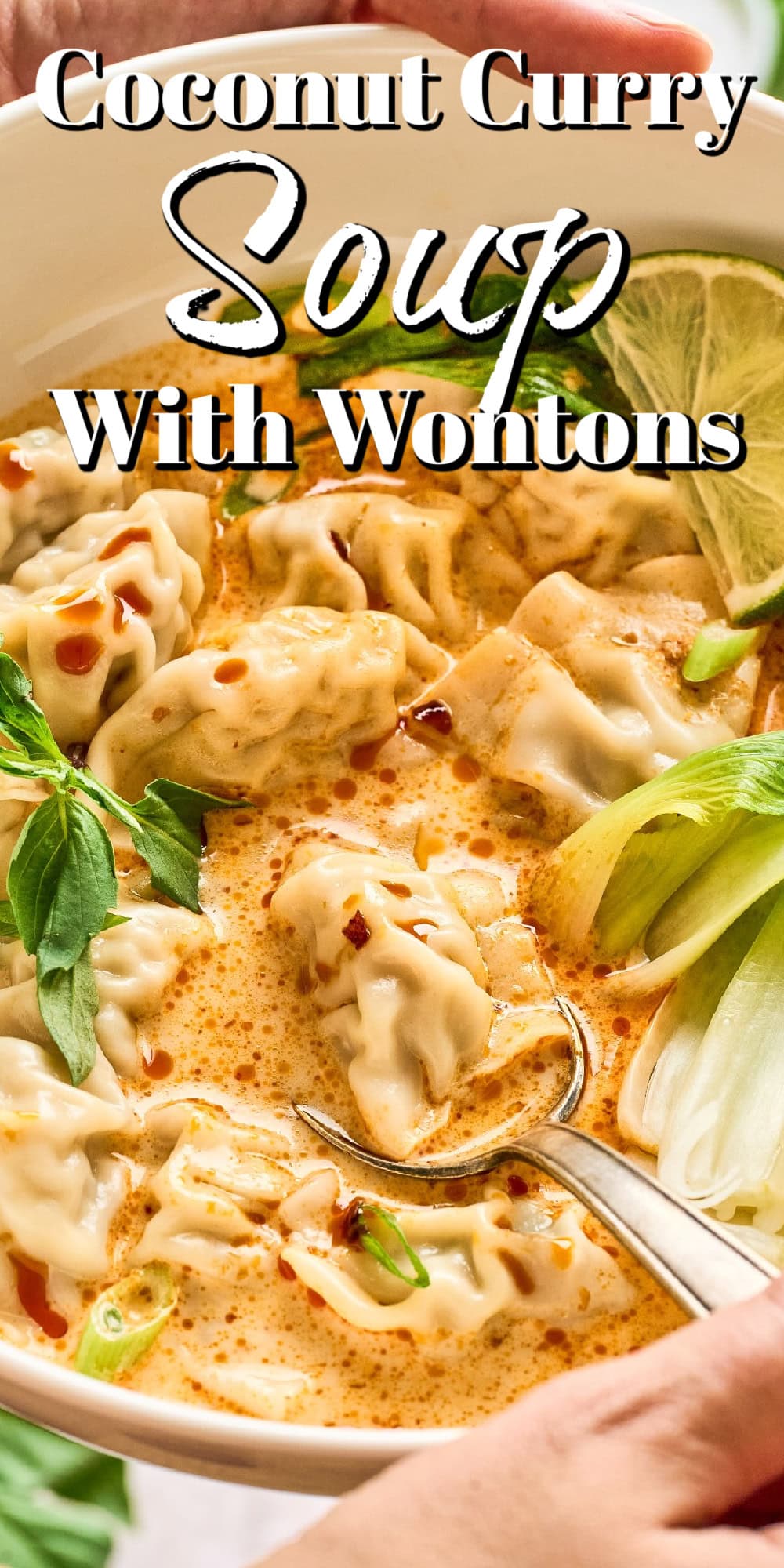 Coconut Curry Soup with Wontons Pin. 