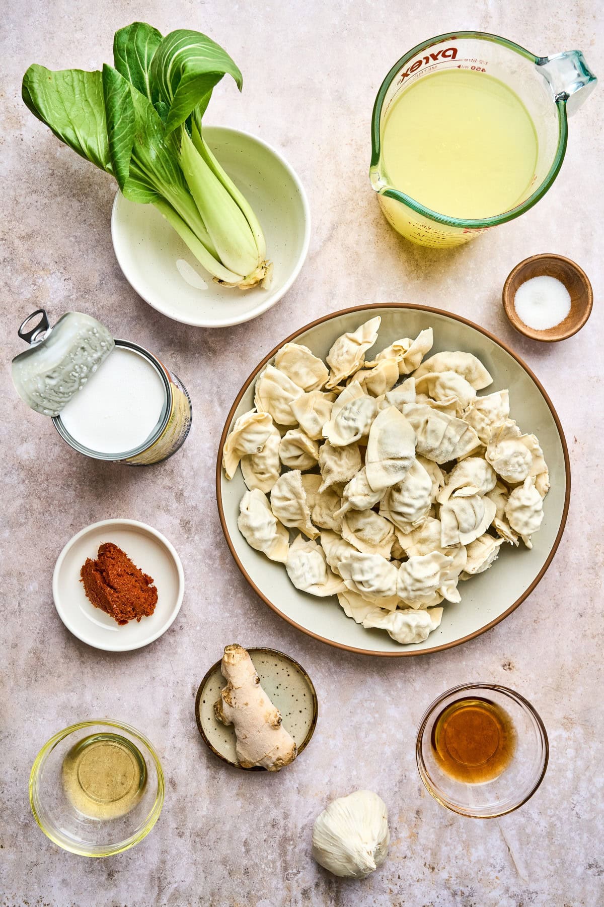 Ingredients for Coconut Curry Soup with Wontons. 