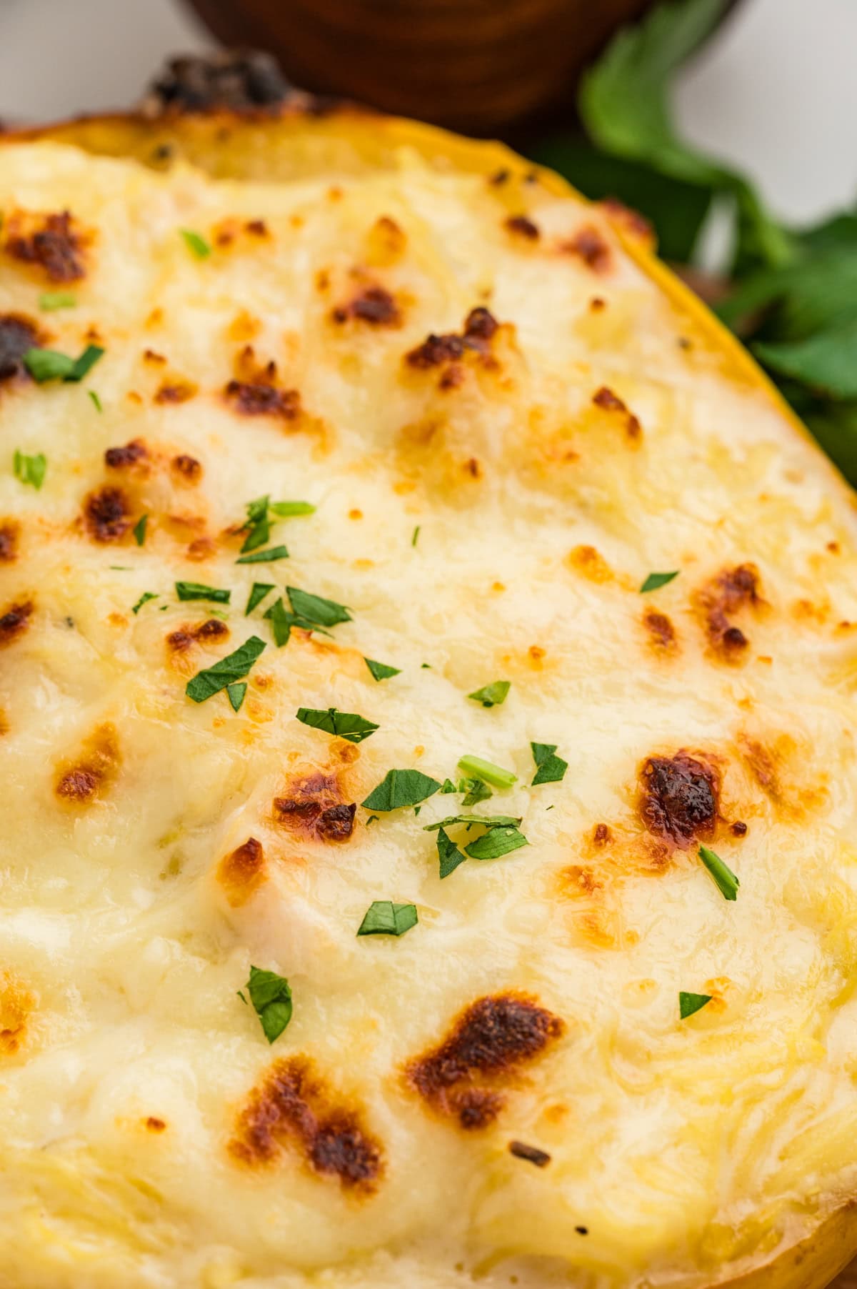 Close-up of Chicken Alfredo Spaghetti Squash. 