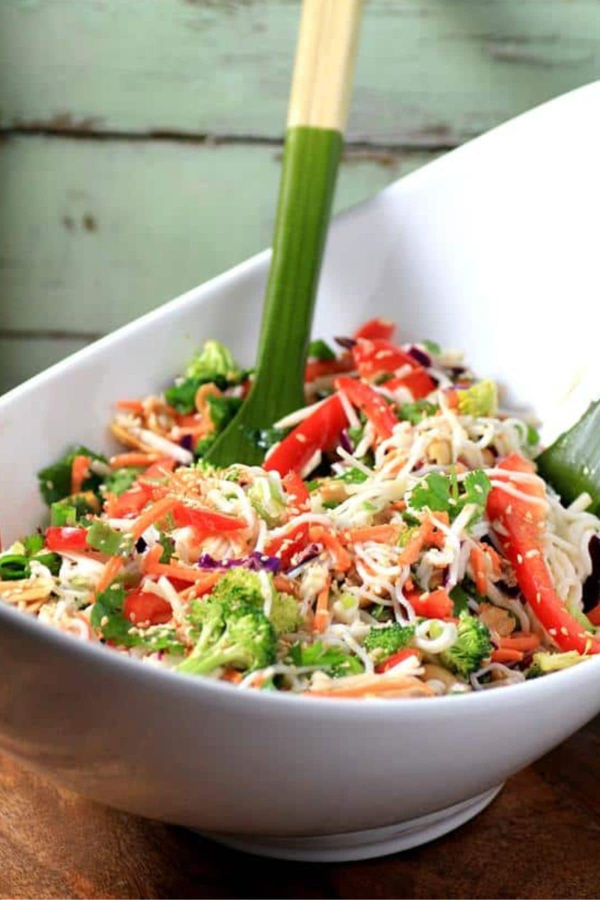 Get outside and enjoy the day with these 50 Picnic Basket Essentials. There is something for everyone to pack the perfect picnic and enjoy family time and the great outdoors. Asian Noodle Salad in a bowl.