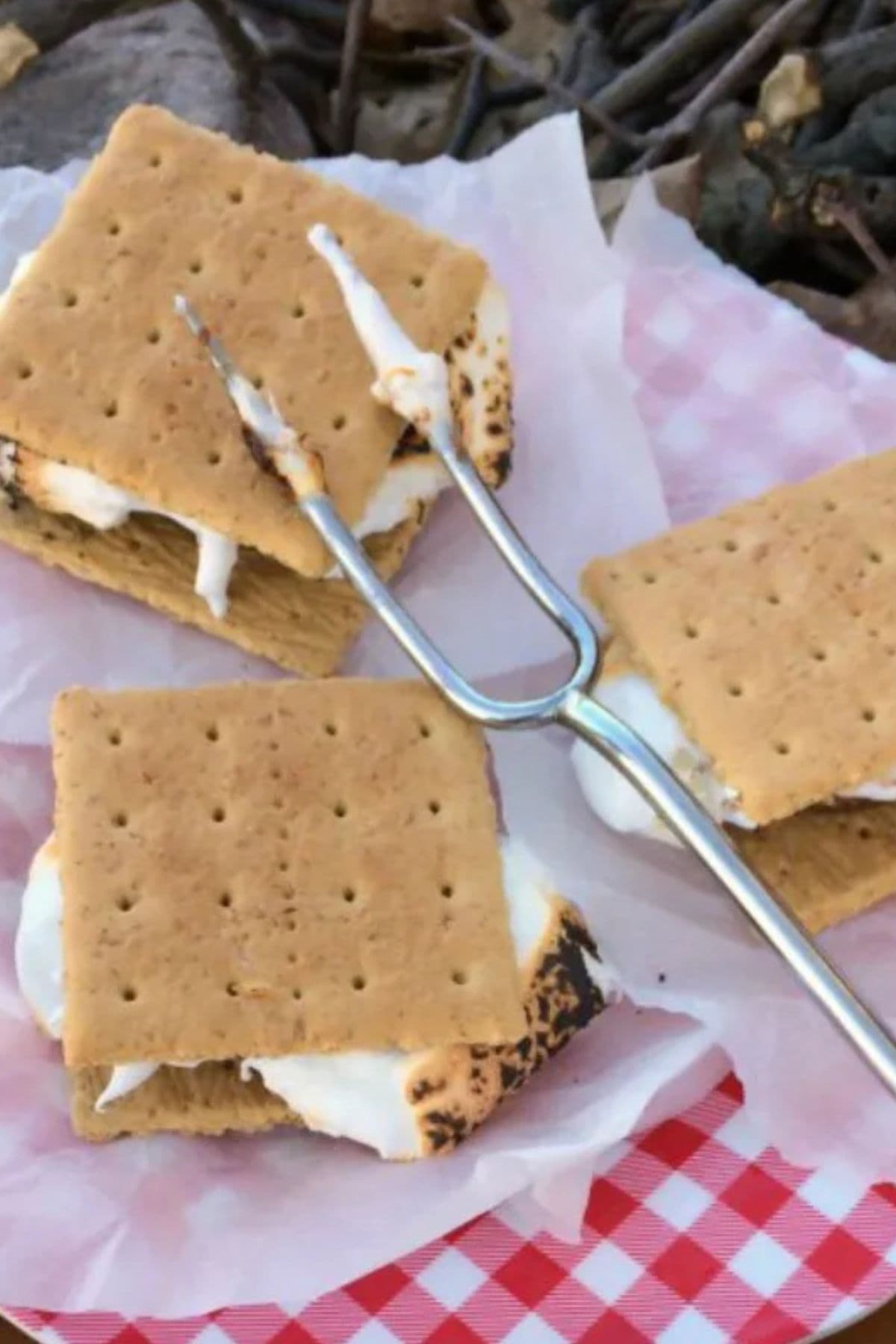 Are you enjoying the great outdoors this summer and wondering what to eat? Try some of these 20 Awesome Campfire Recipes!! Peanut butter cup smores on table.
