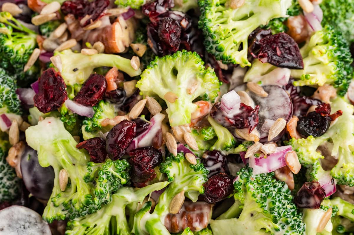 This Broccoli Salad is a keeper that you will want to bring out on a constant rotation. It is perfect for a summer BBQ, picnic or really at any time of the year. Close-up of Broccoli Salad.