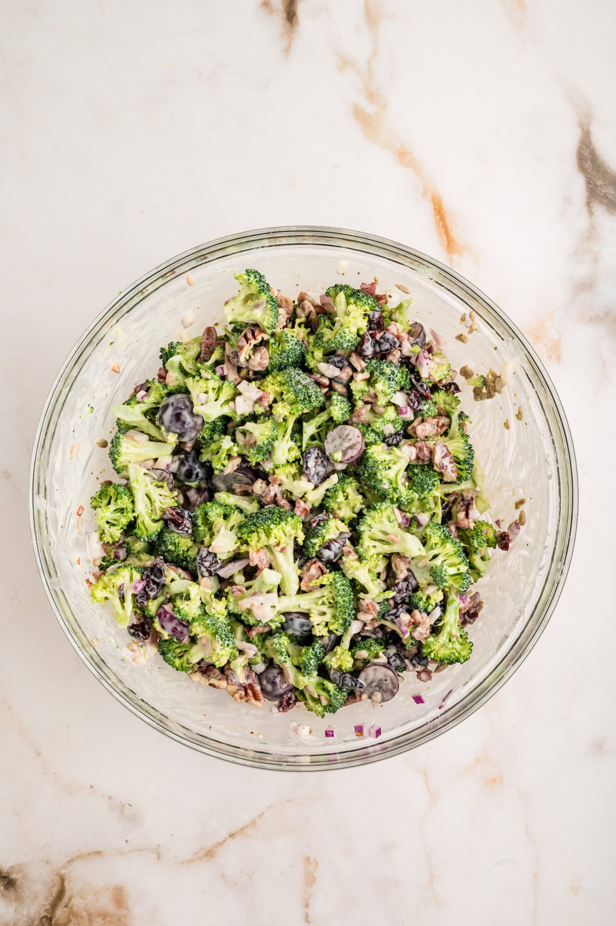 This Broccoli Salad is a keeper that you will want to bring out on a constant rotation. It is perfect for a summer BBQ, picnic or really at any time of the year. Finished Salad.