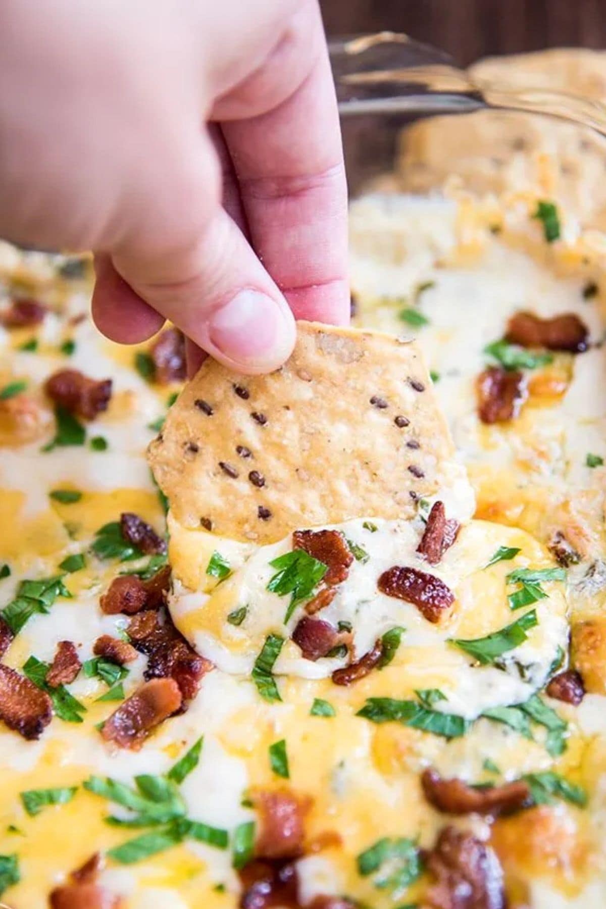Chip being dipped into bacon dip.