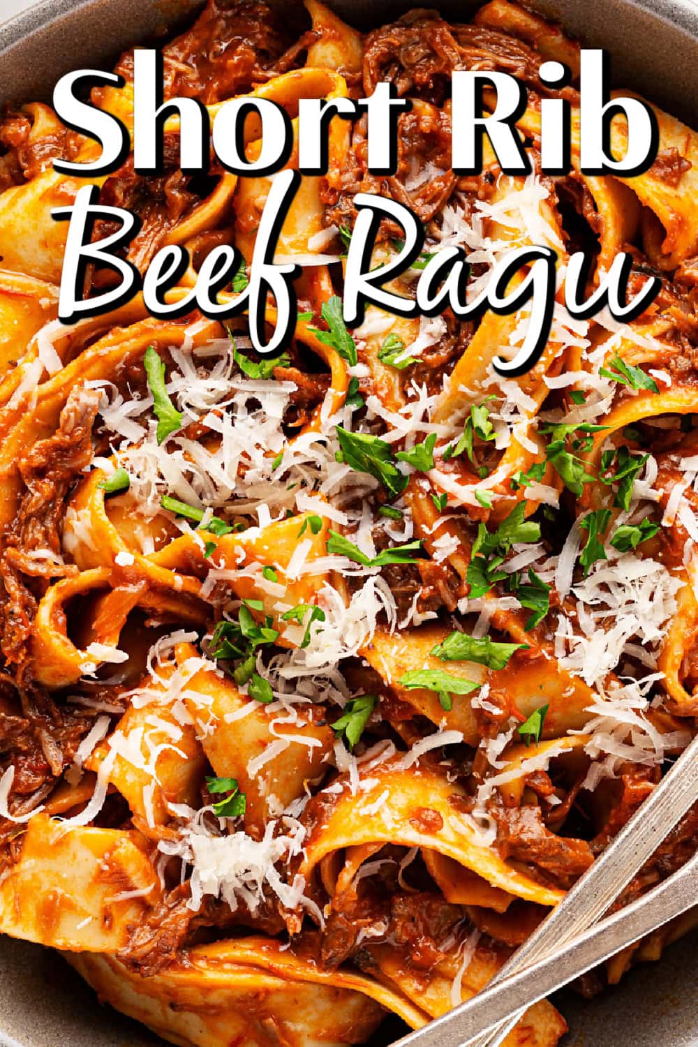 Short Rib Beef Ragu pin. 
