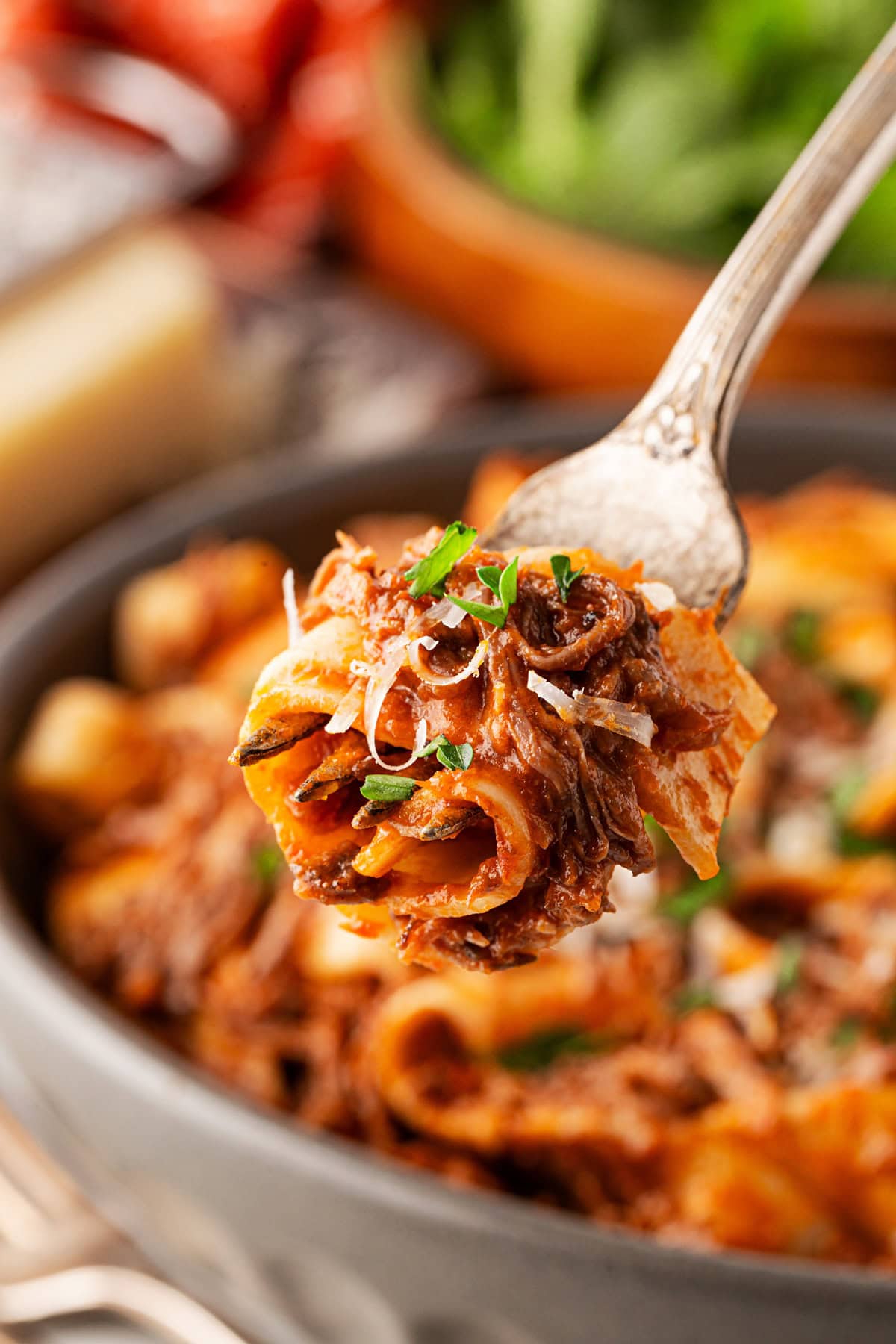 A forkful of ragu with pappardelle. 