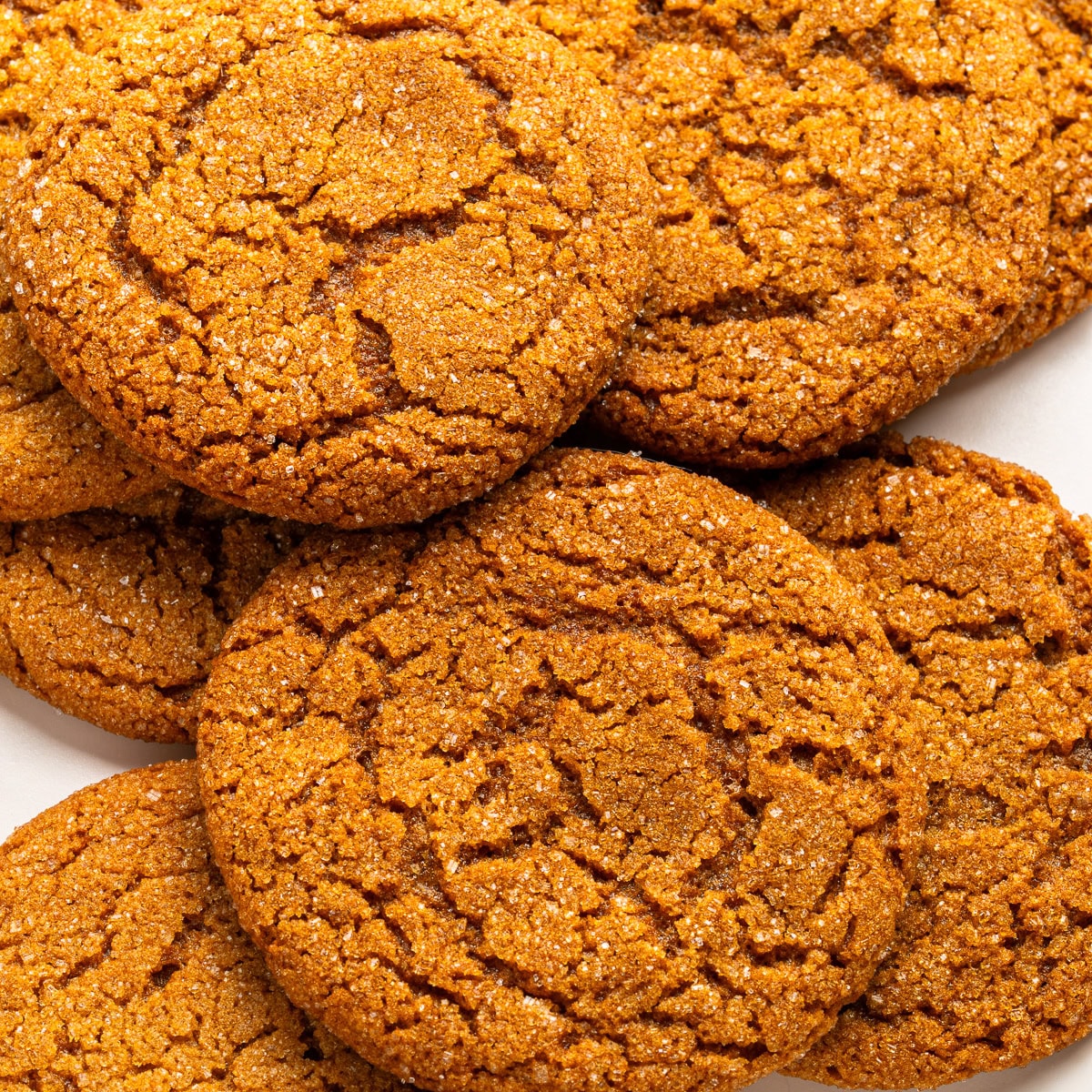 Close up of gingersnap cookies.