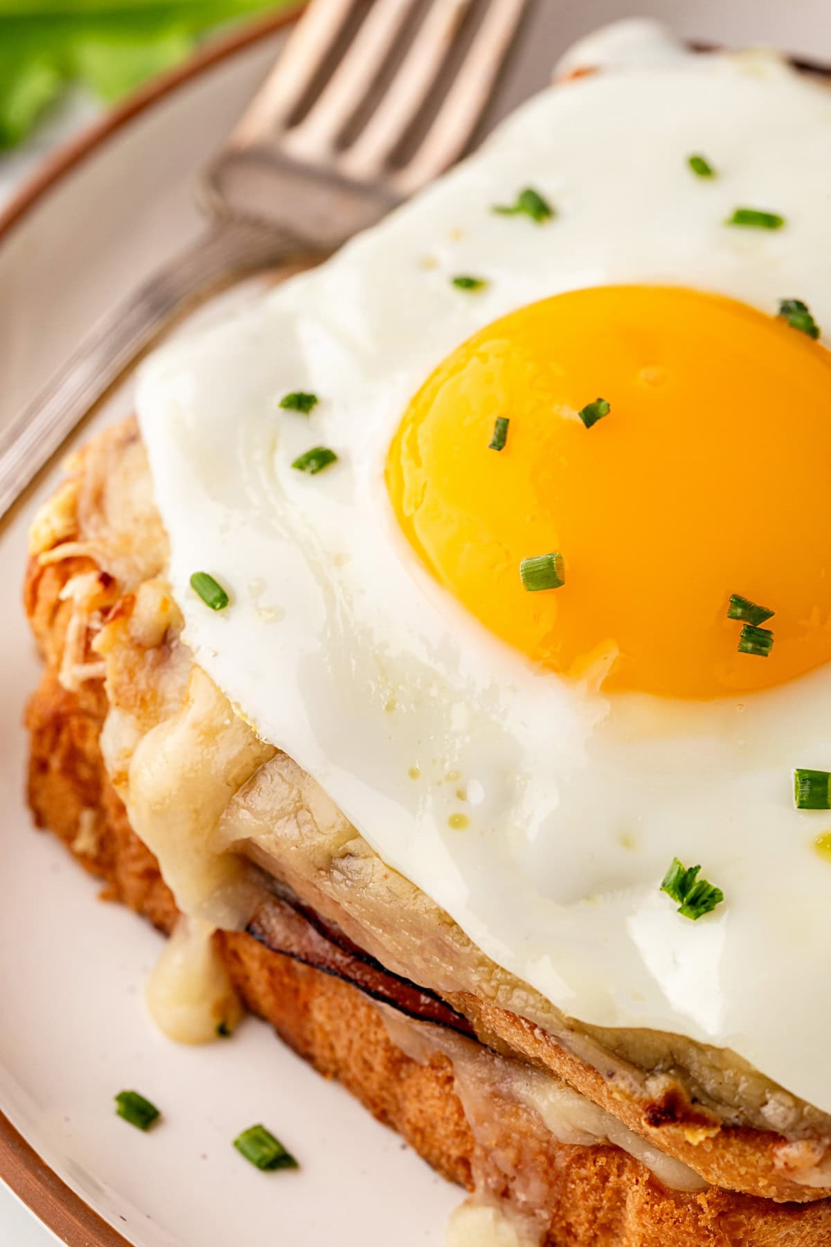 Close-up of the egg. 