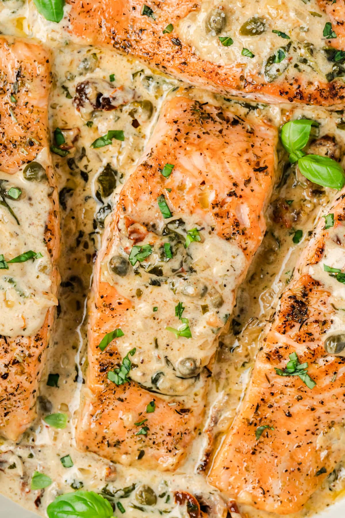 Overhead of Tuscan Salmon. 