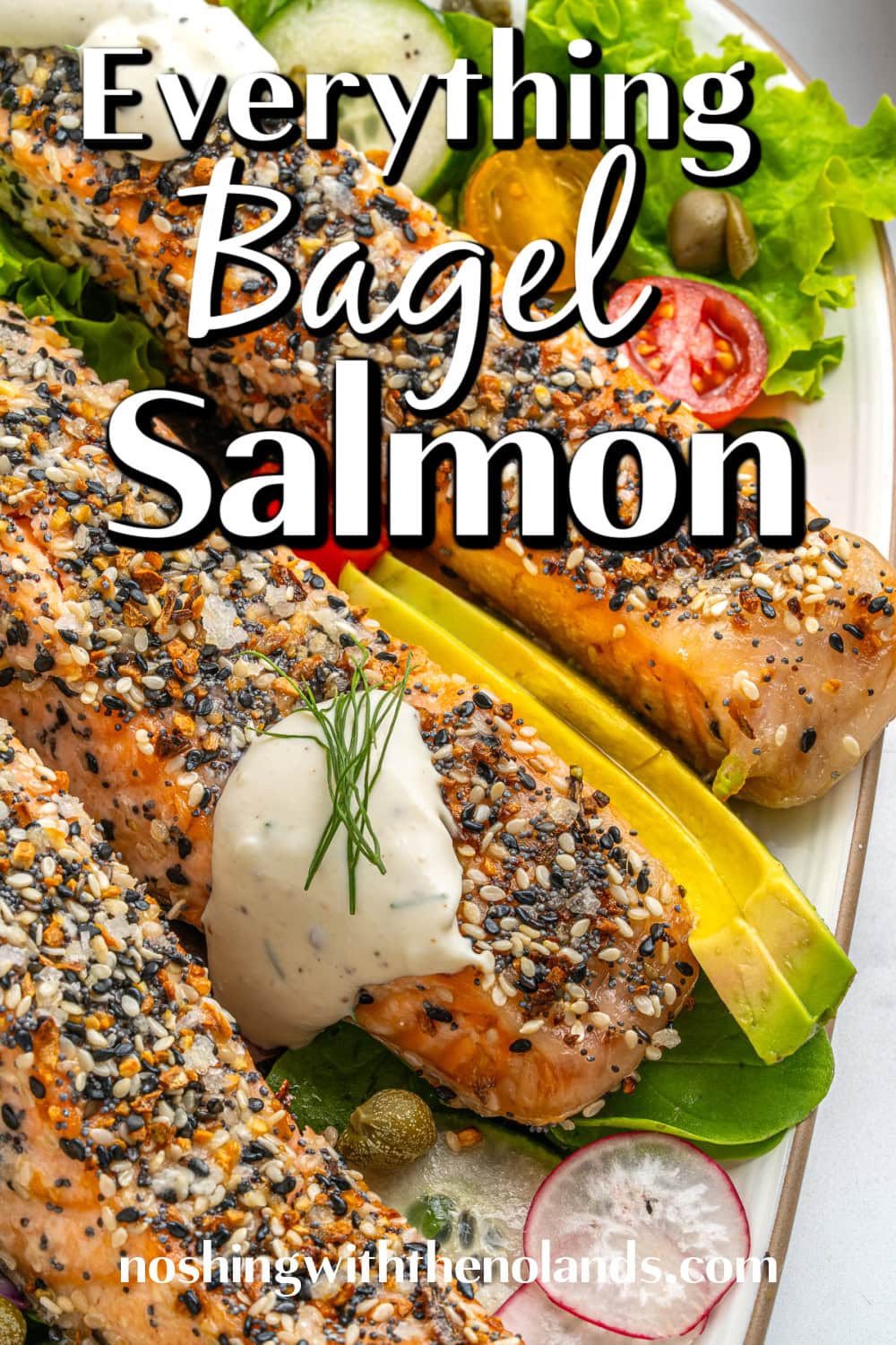 Everything Bagel Salmon pin. 