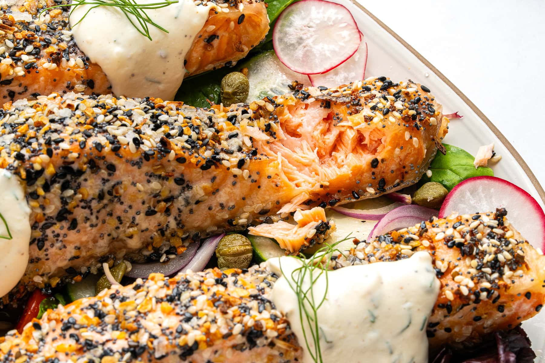 Close-up on Everything Bagel Salmon.