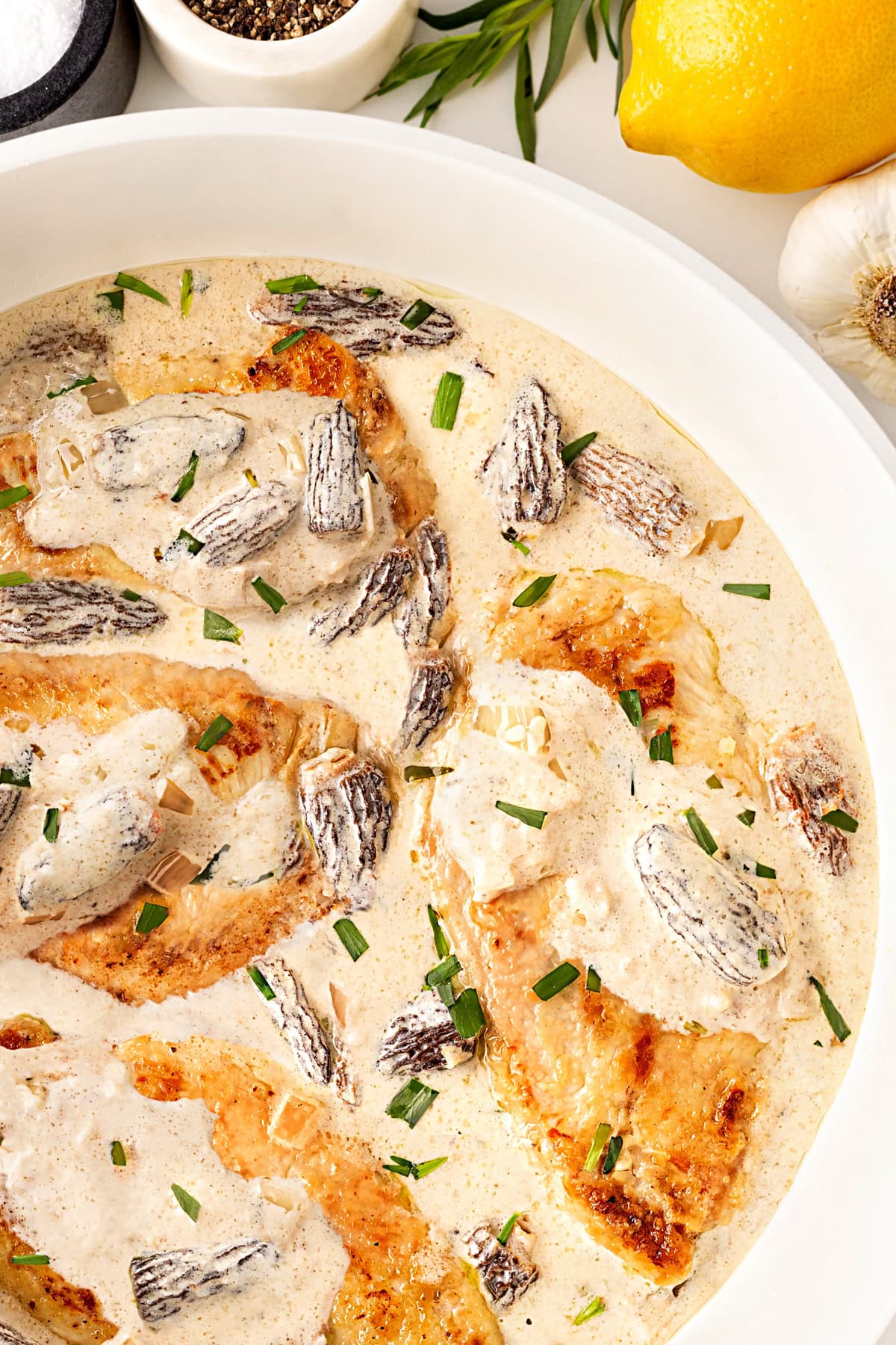 Overhead of Creamy Chicken with Morels in a pan. 