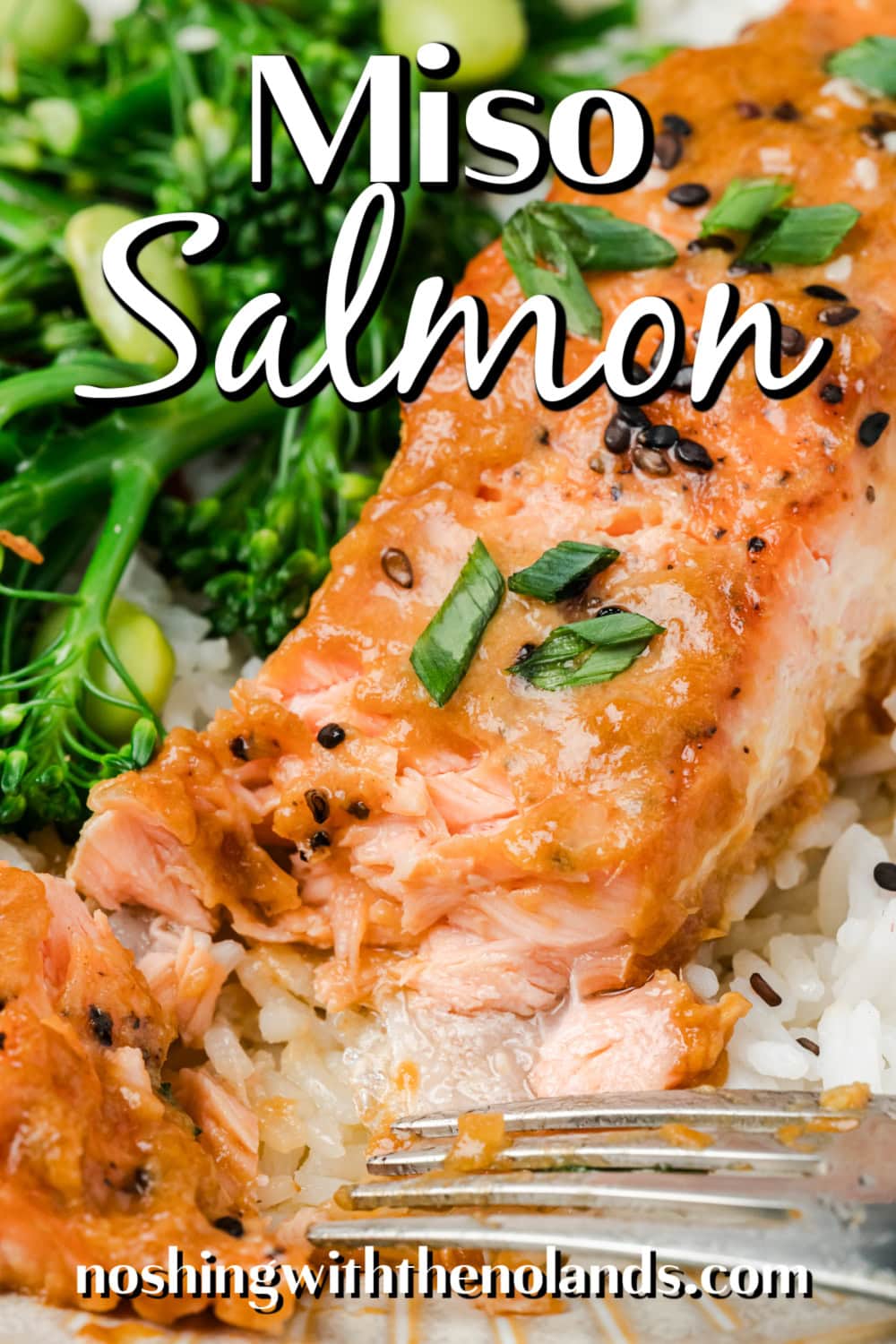 Miso Salmon pin. 