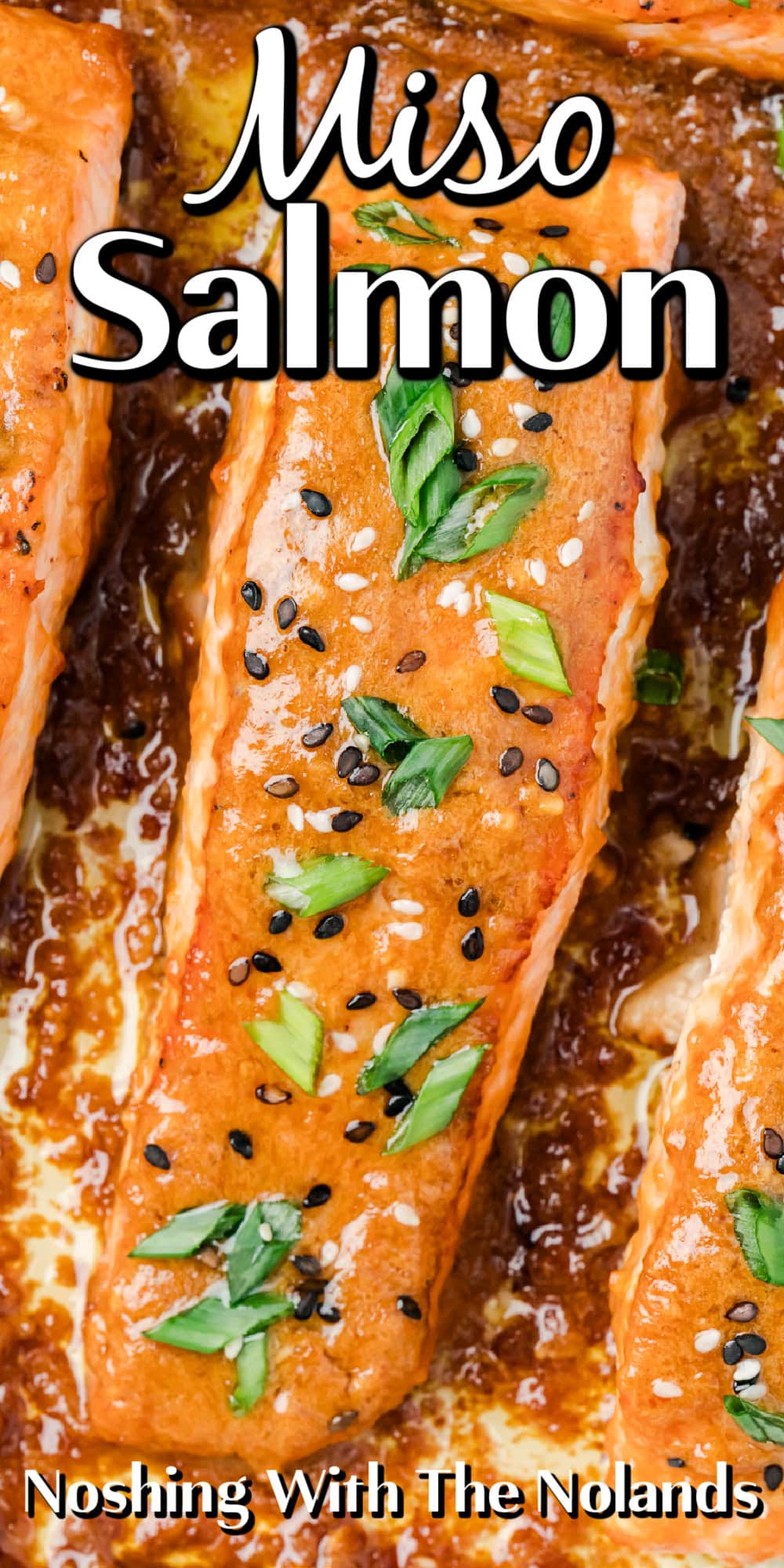 Miso Salmon pin. 