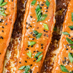 Close-up of salmon.