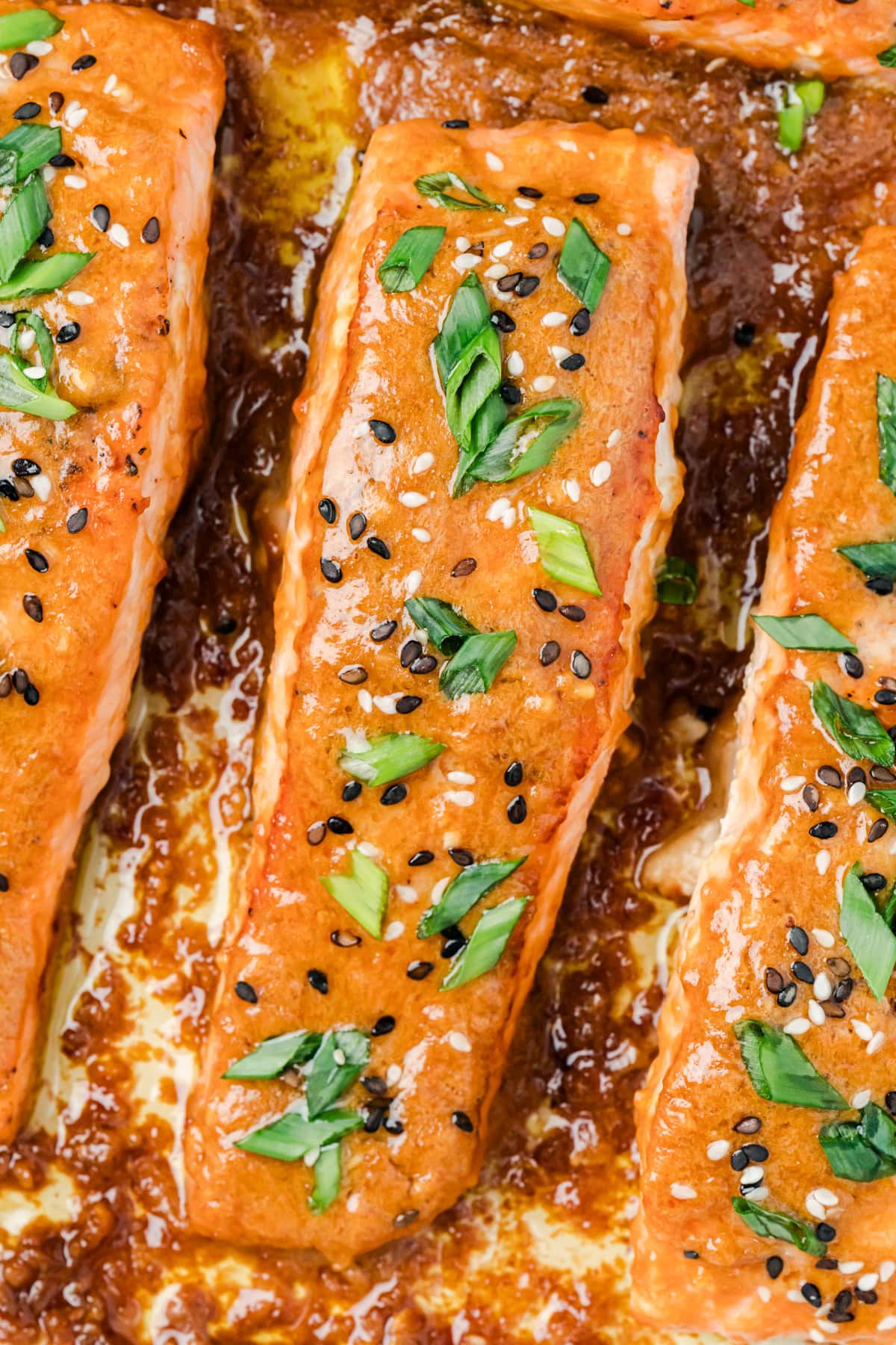 Overhead close-up of Miso Salmon. 