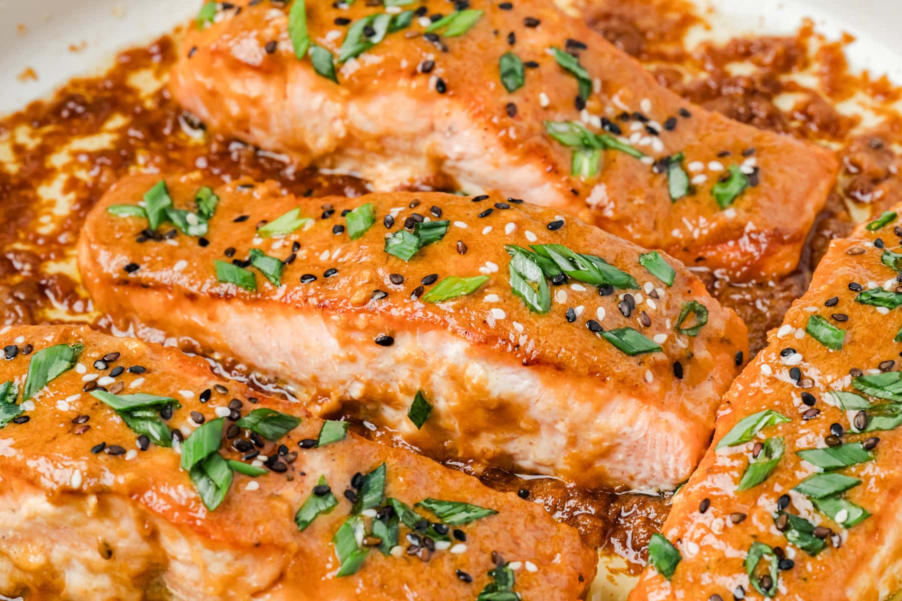 Close-up of salmon. 