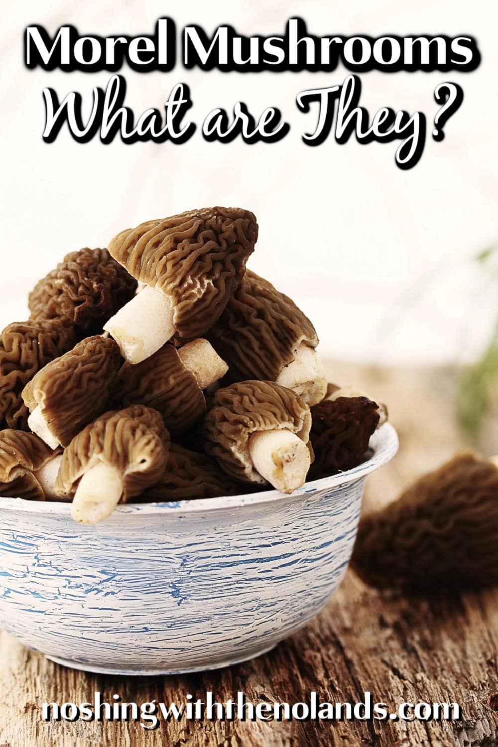 Morel Mushrooms pin.