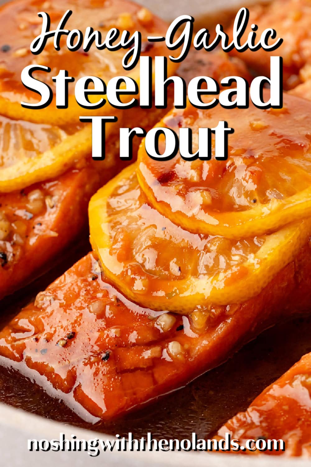 Honey-Garlic Steelhead Trout pin. 