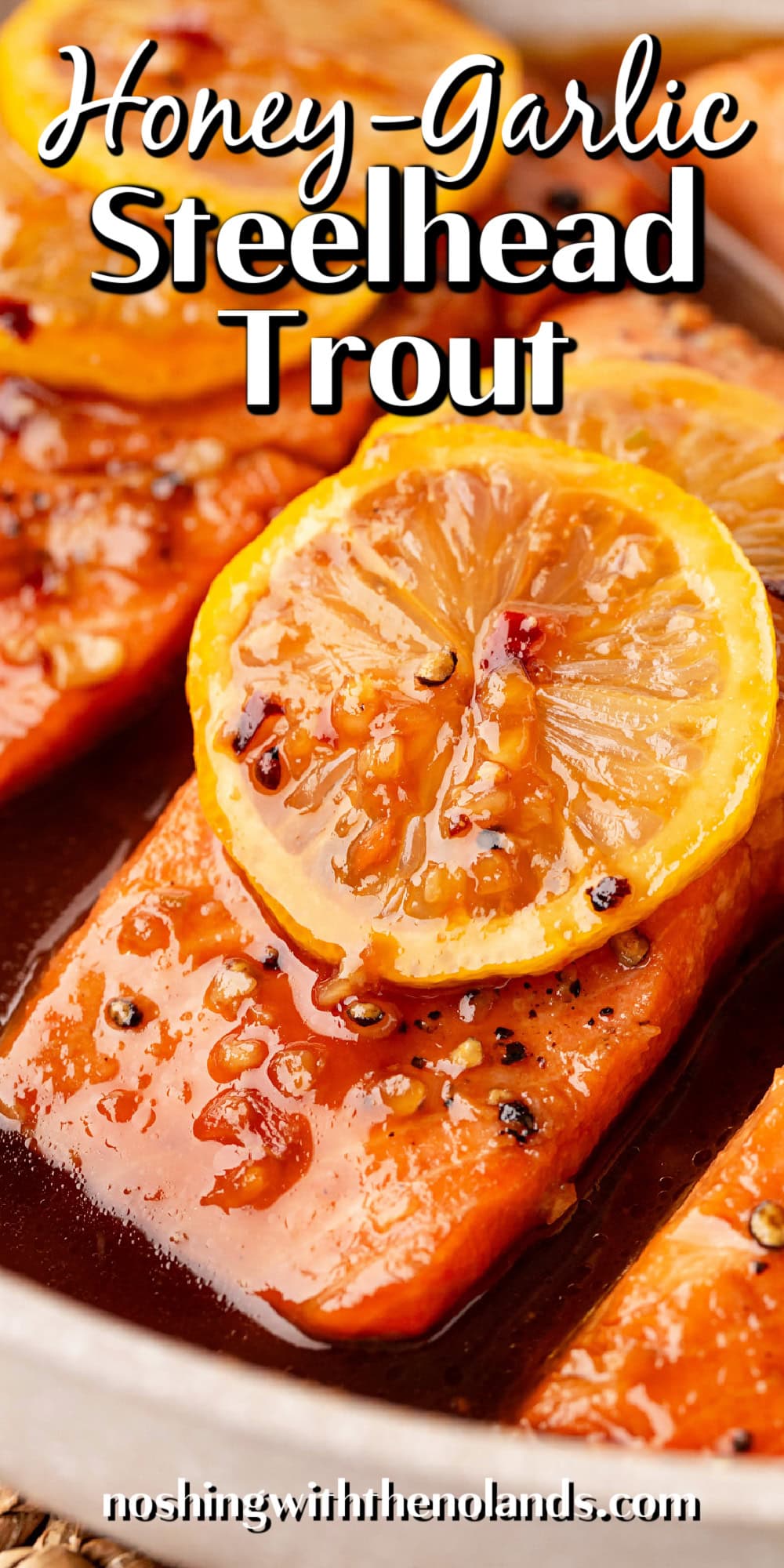 Honey-Garlic Steelhead Trout pin. 