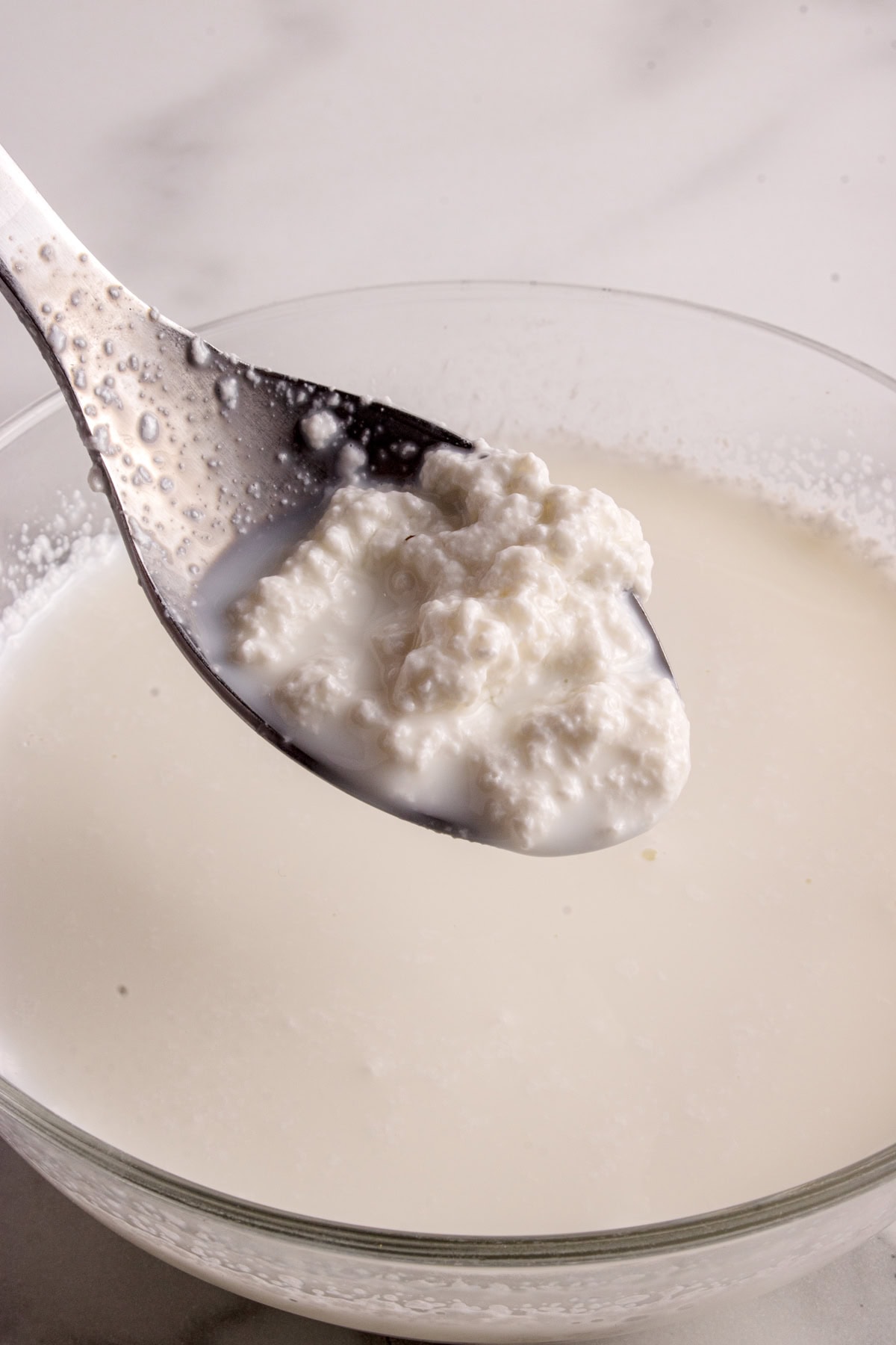 Curds on spoon.