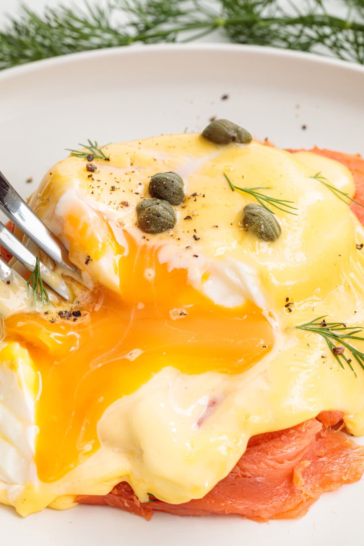 Breaking the yolk in a Smoked Salmon Eggs Benedict. 