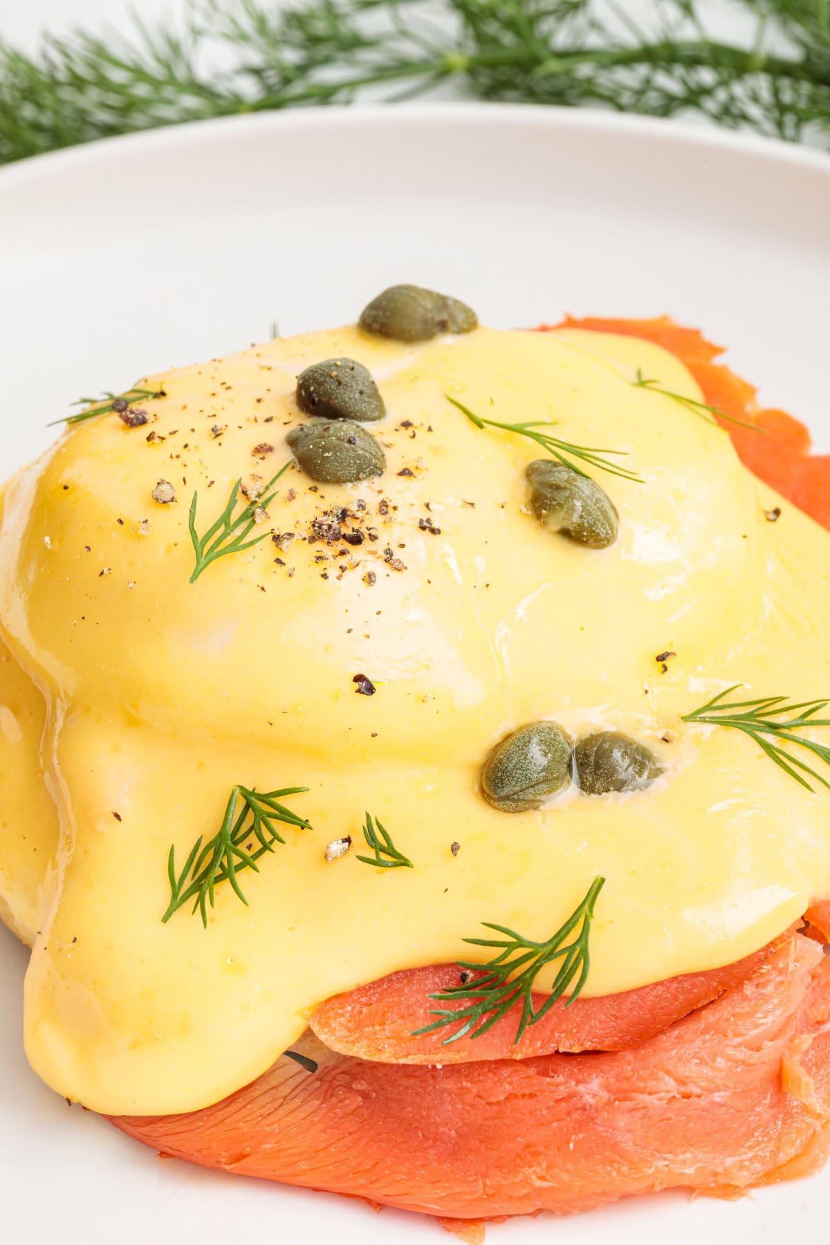 Close-up of Smoked Salmon Eggs Benedict.