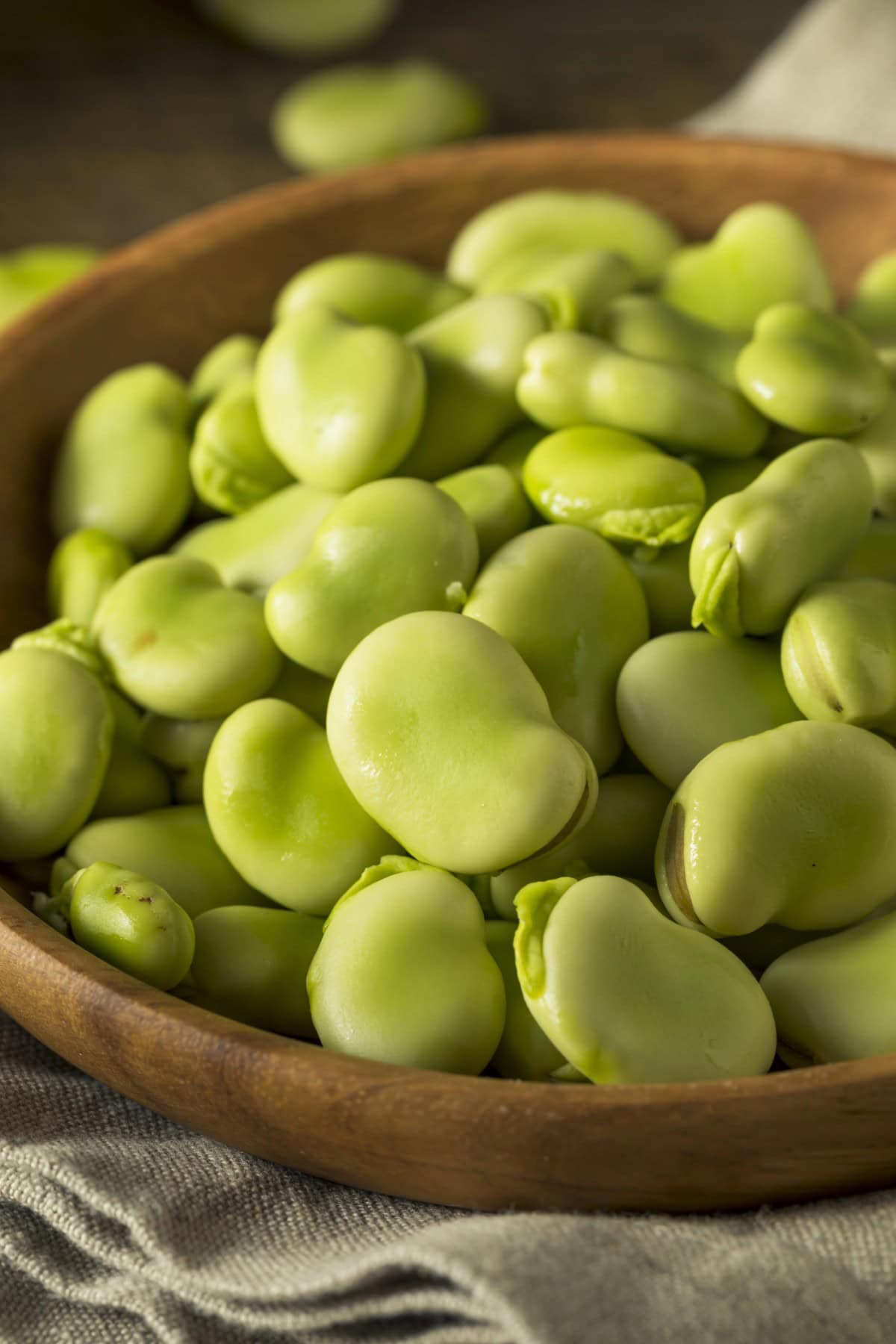 What are Fava Beans? - shelled in a bowl. 