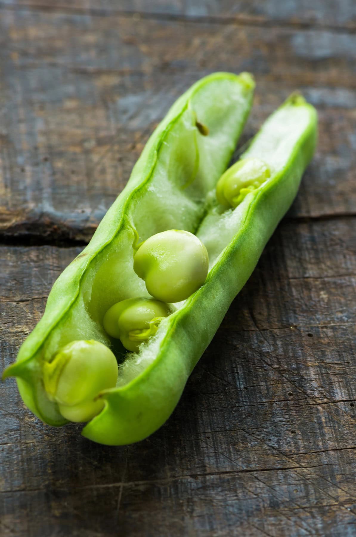 An open pod of fava beans or broad beans. 