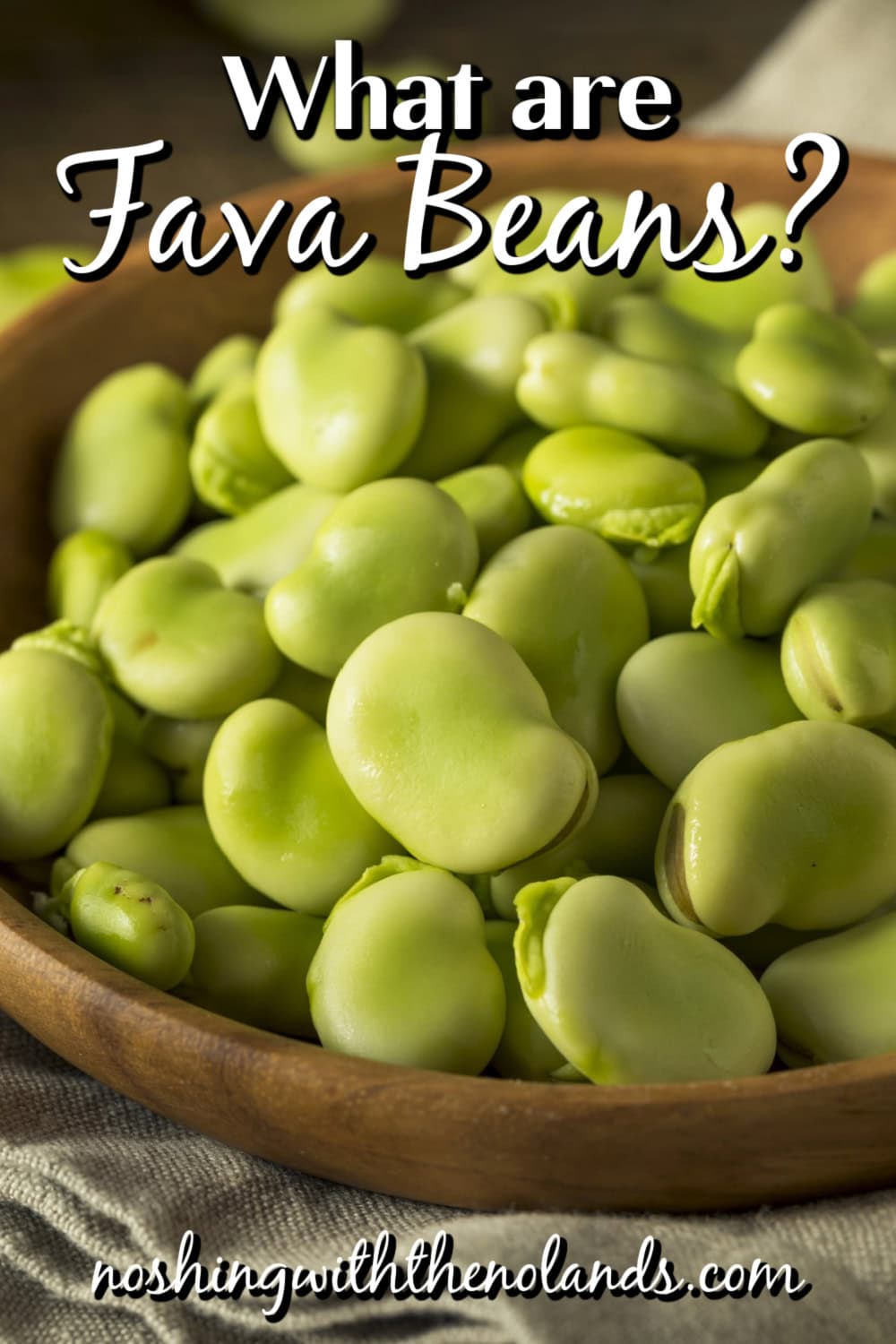 What are Fava Beans pin.