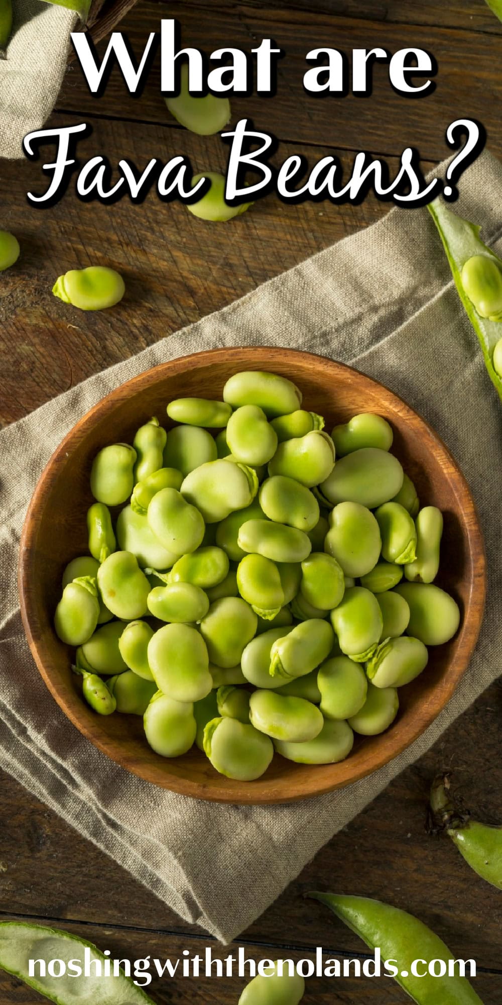 What are Fava Beans pin.