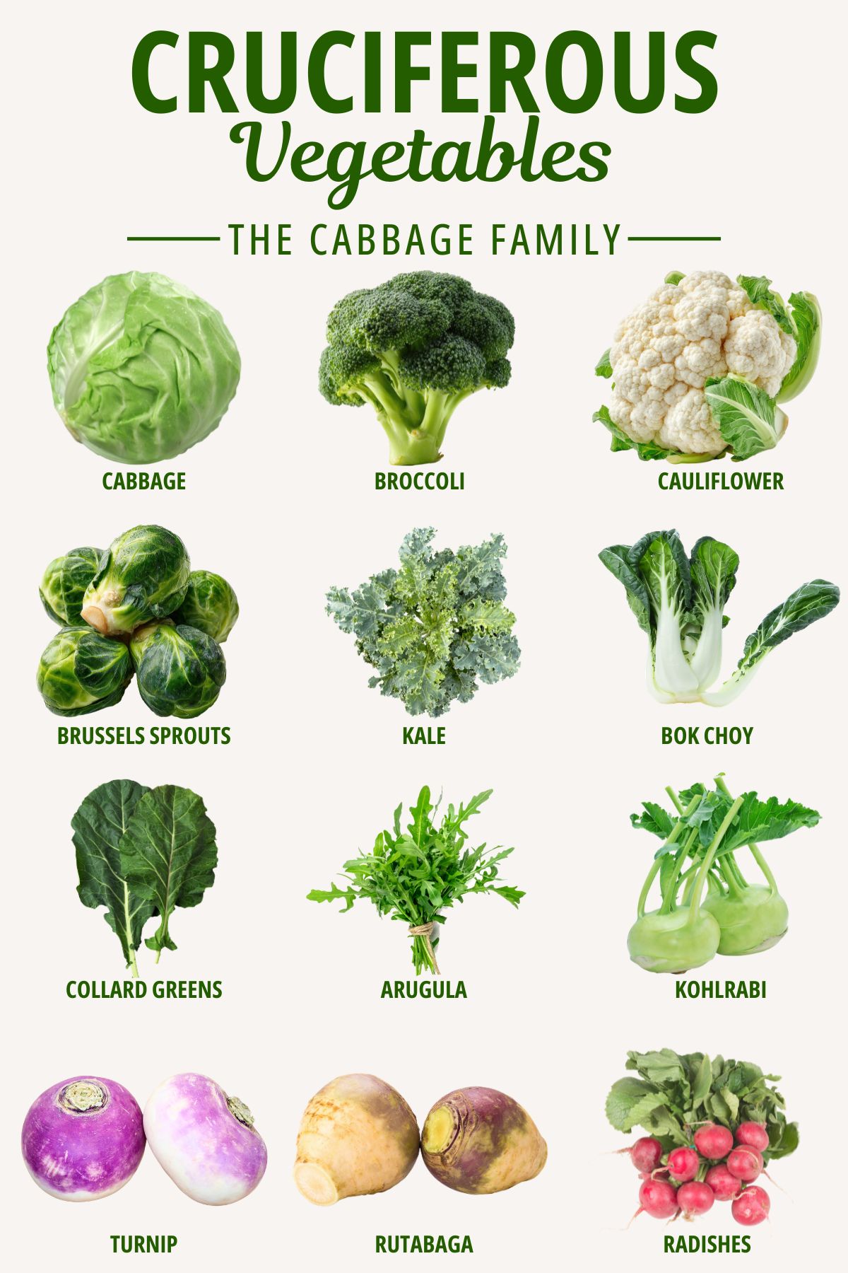 What Vegetables are in the Cabbage Family poster. 