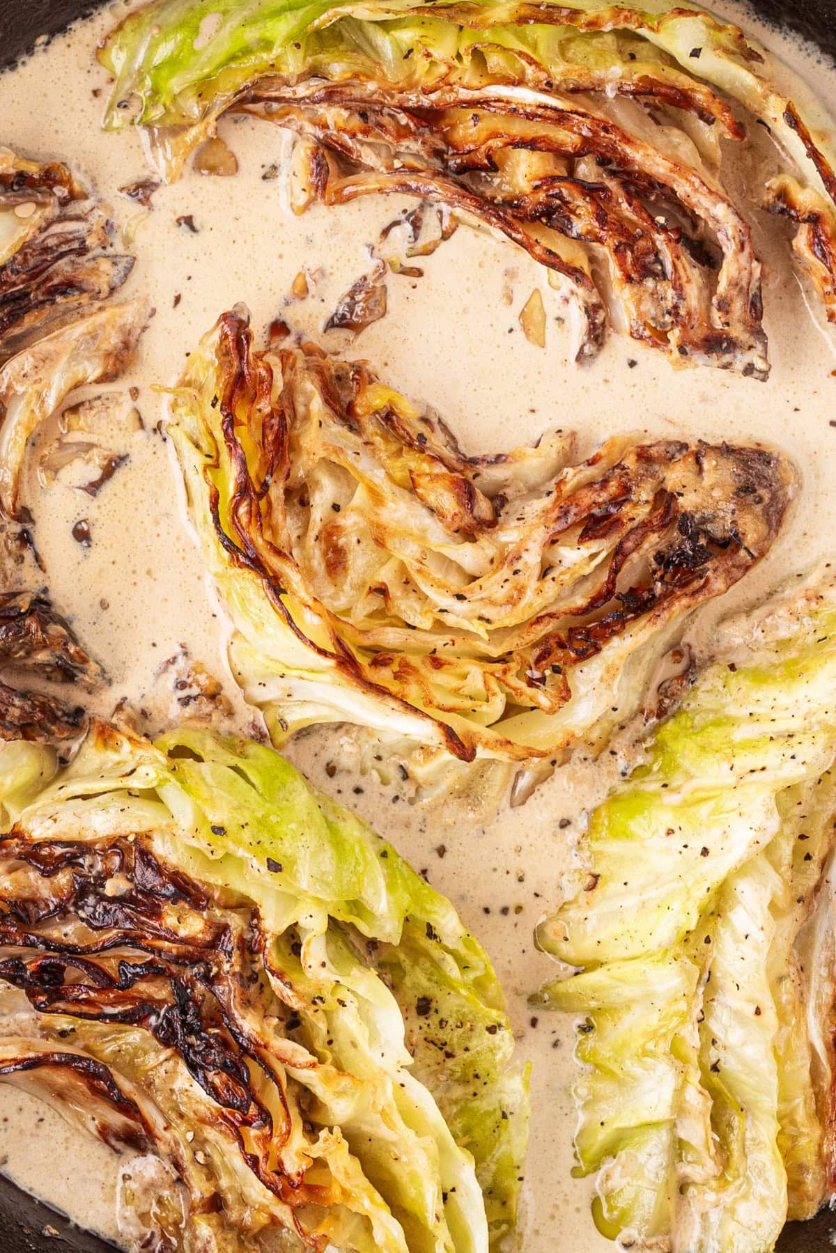 Creamed cabbage from overhead. 