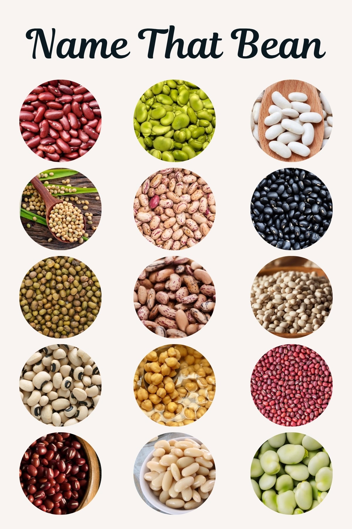 Name that Bean poster. 