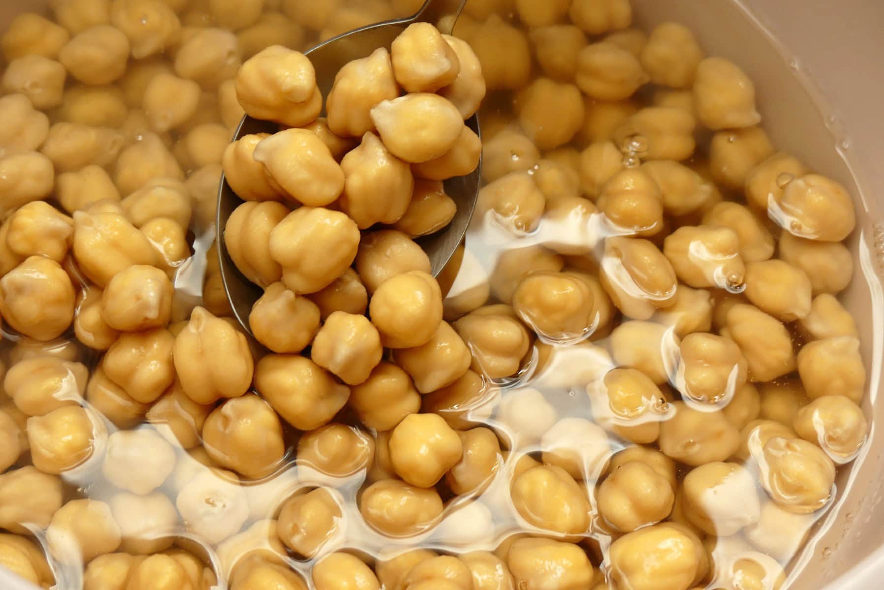 Chickpeas in water. 
