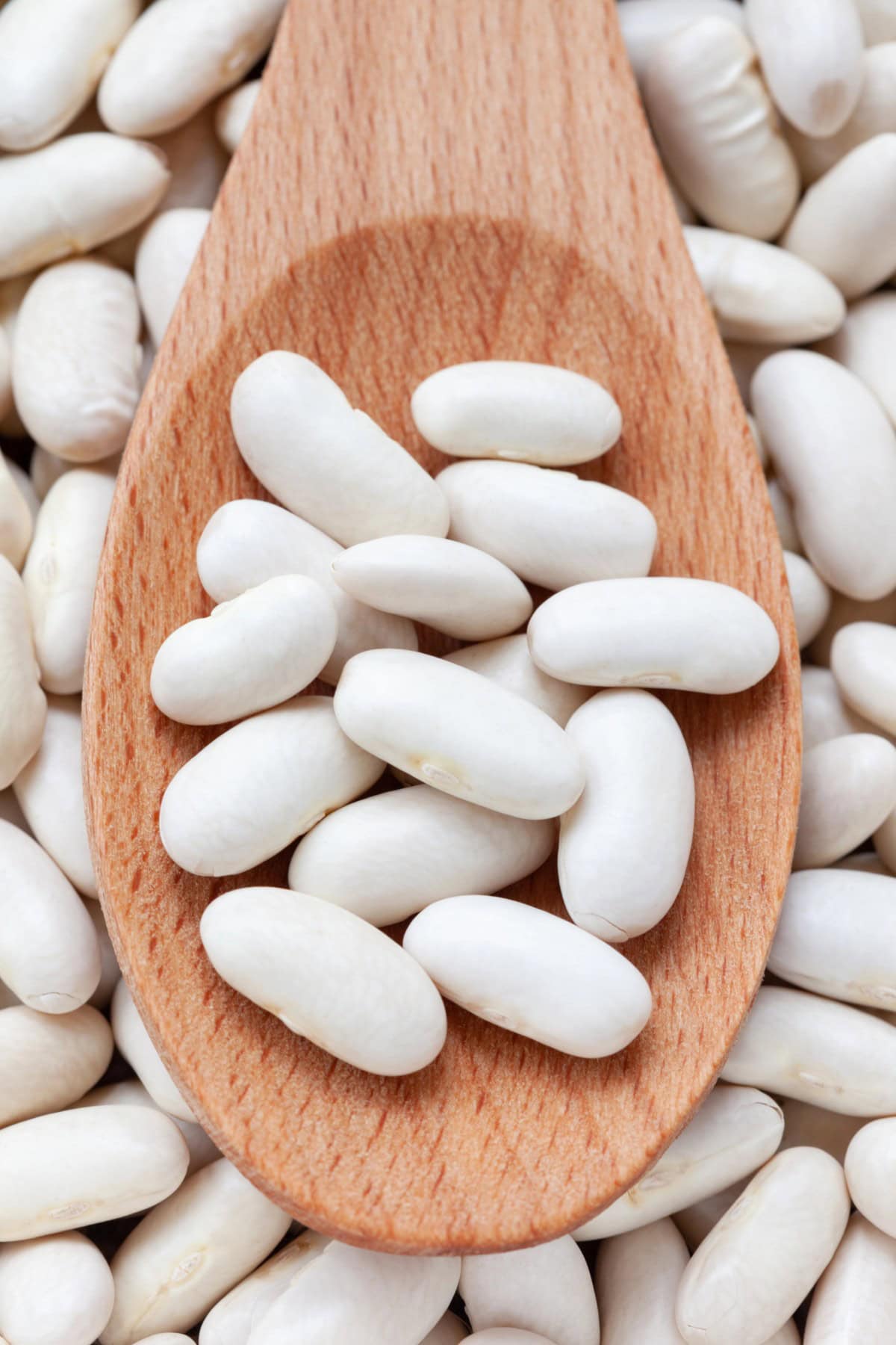 Great Northern Beans on a wooden spoon. 