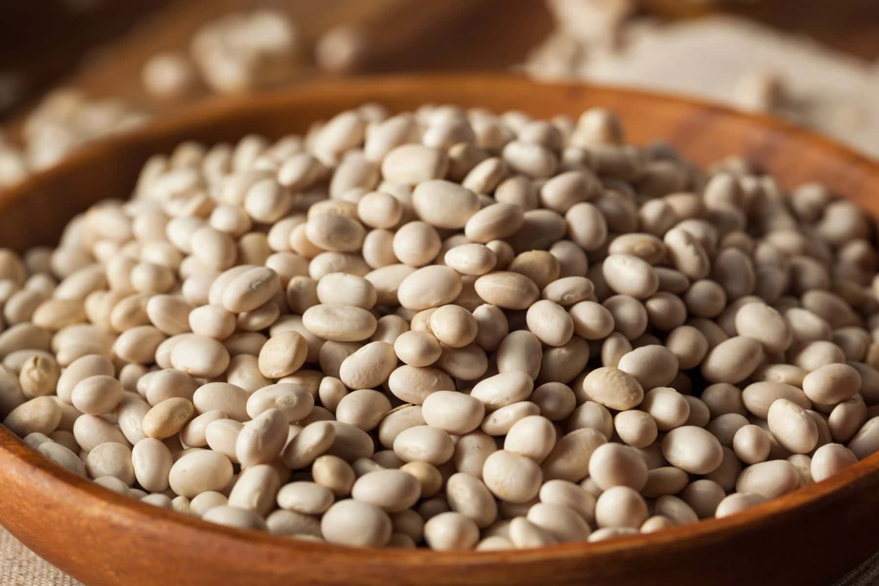 Navy beans.