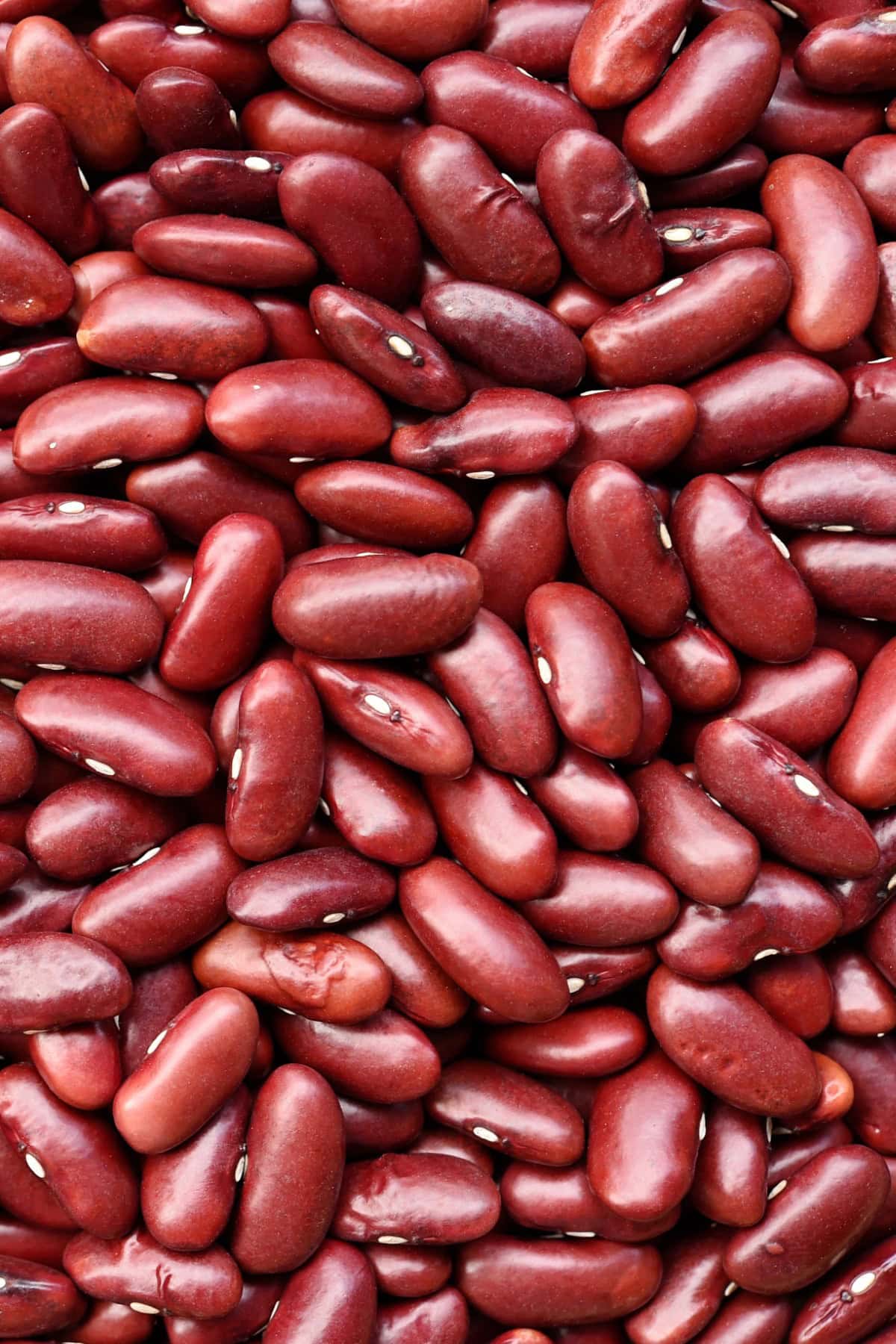 Type of Beans - Red Kidney Beans. 