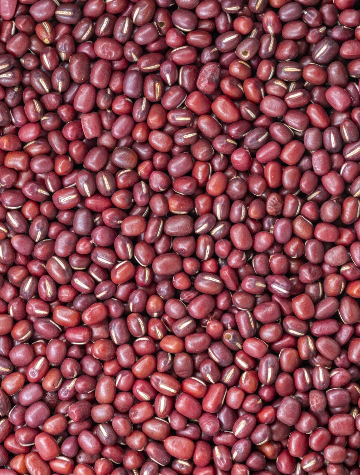Small red beans close-up. 