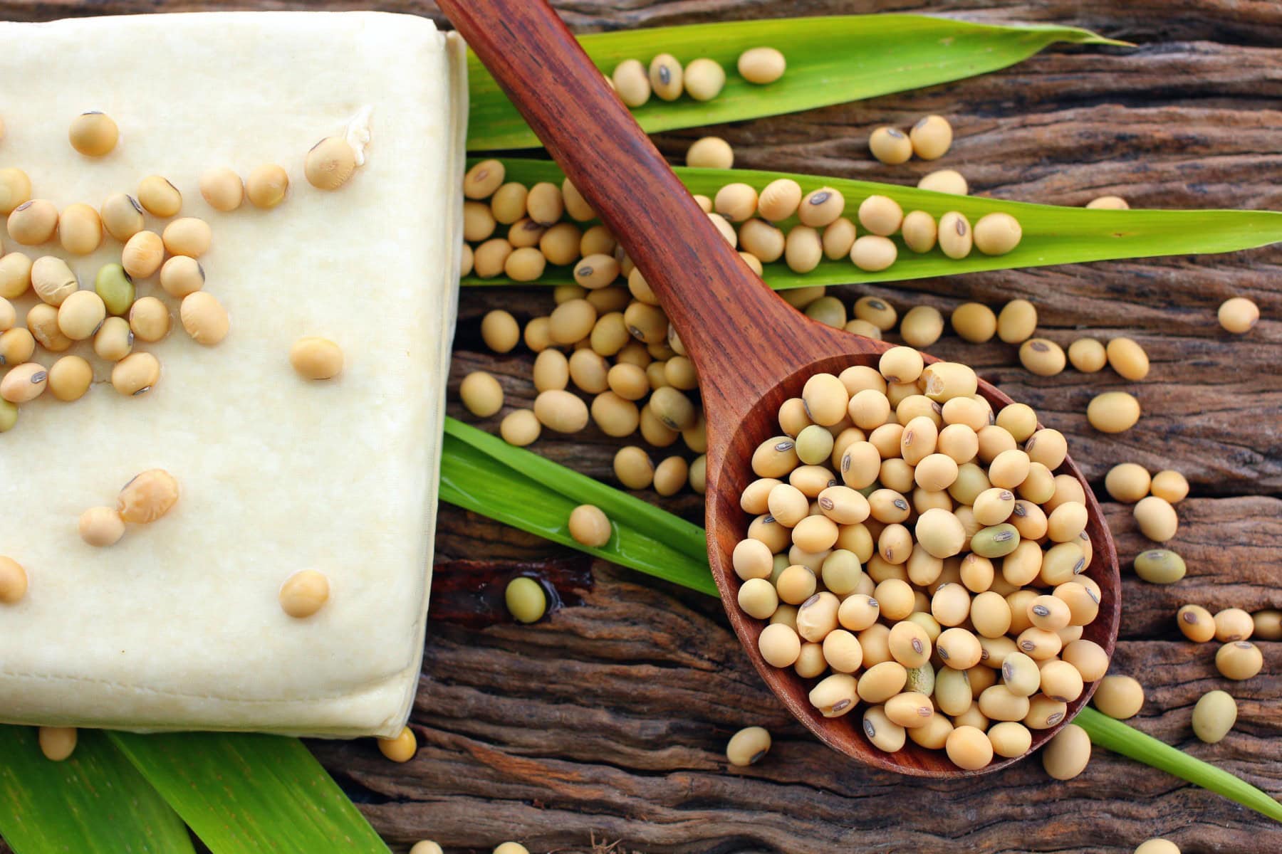 Soybeans scattered and on a wooden spoon. 