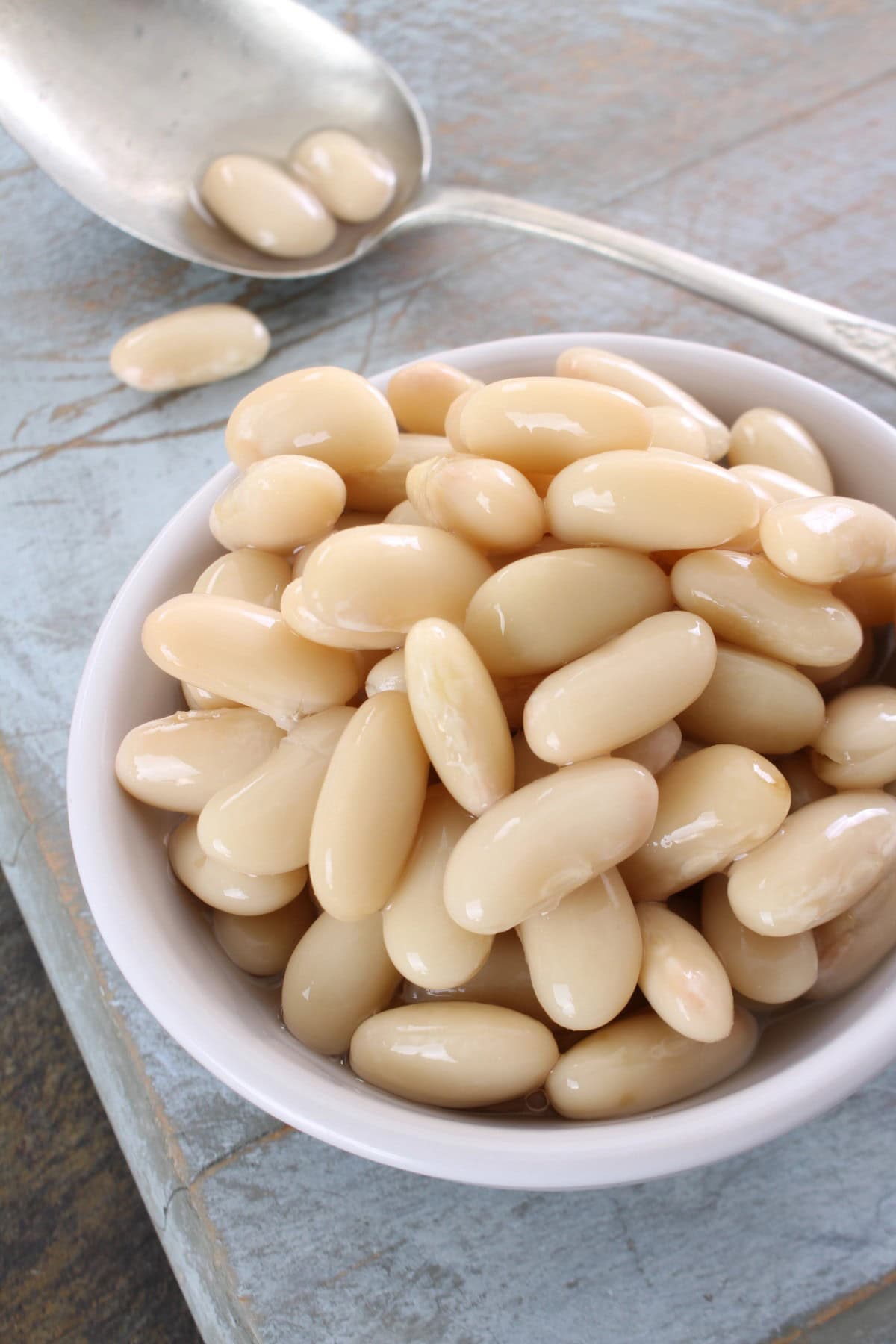 Types of Beans - Cannellini Beans in a bowl. 