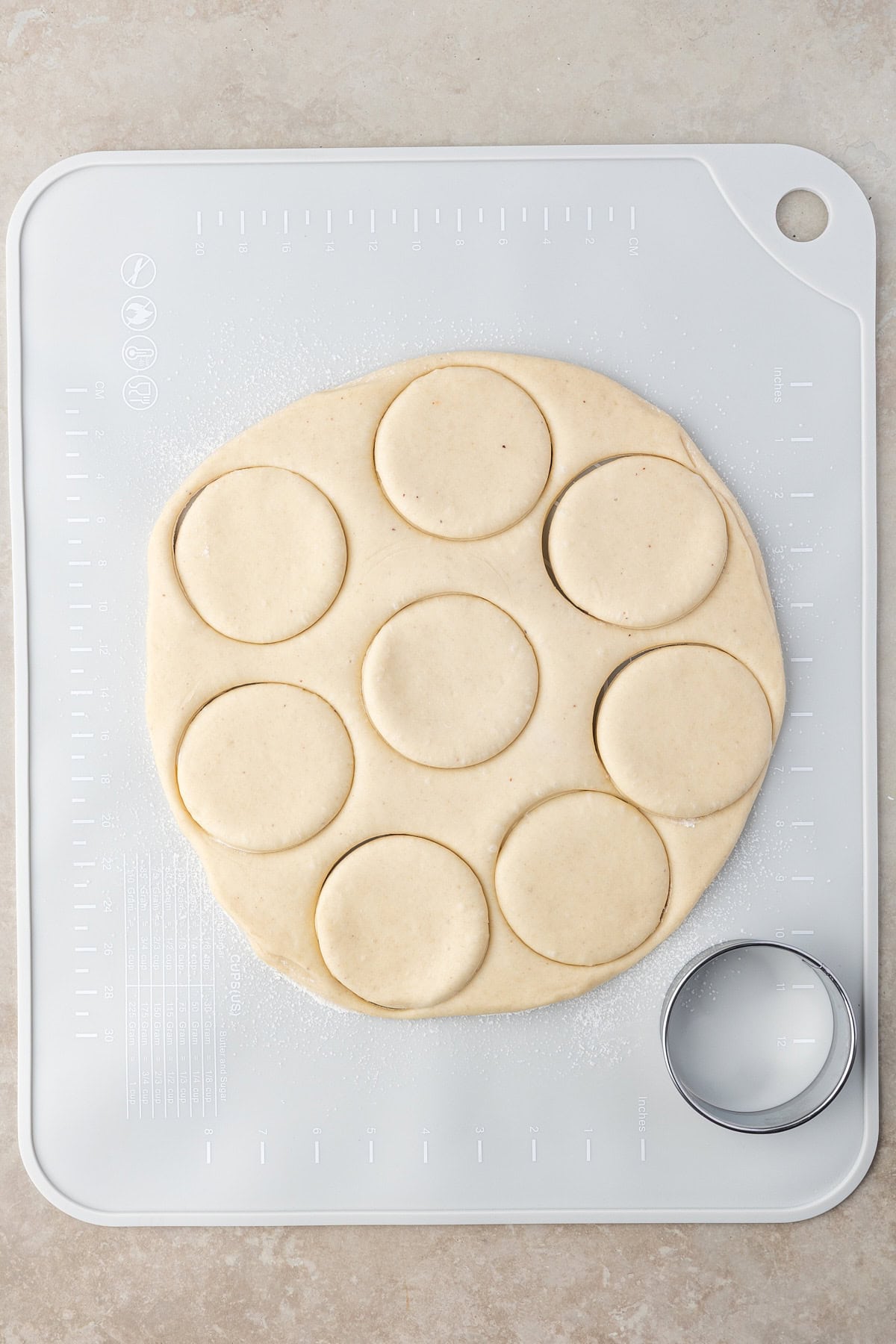 Circles cut. 