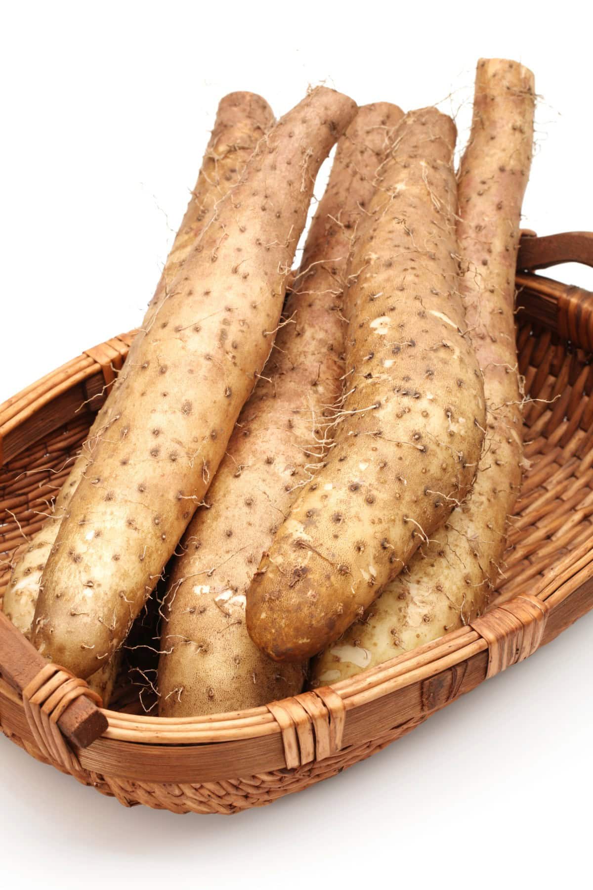 Basket full of Chinese yams.
