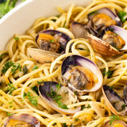 Close-up on an open clam in linguine.