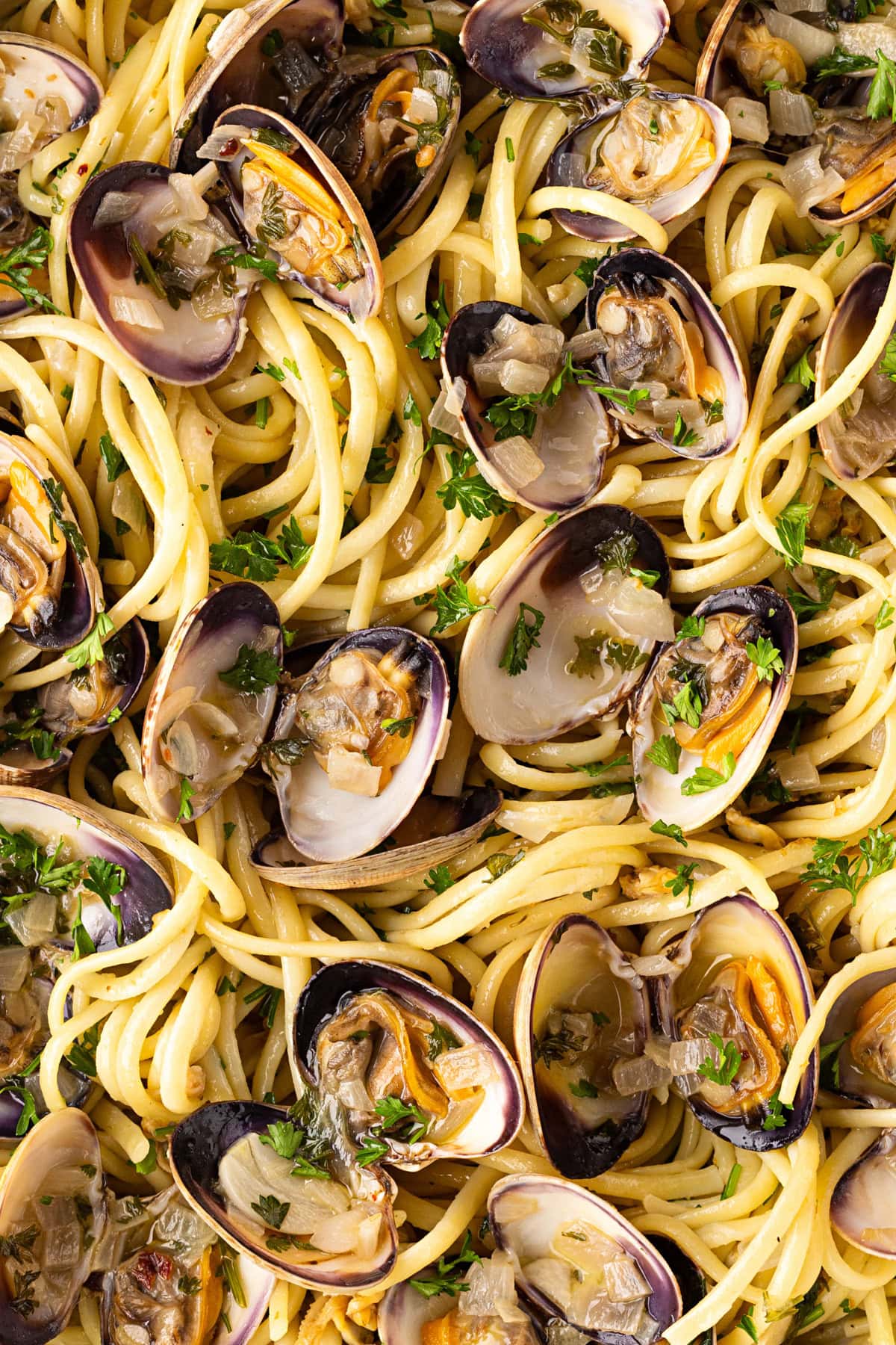 Close-up of the clam linguine. 