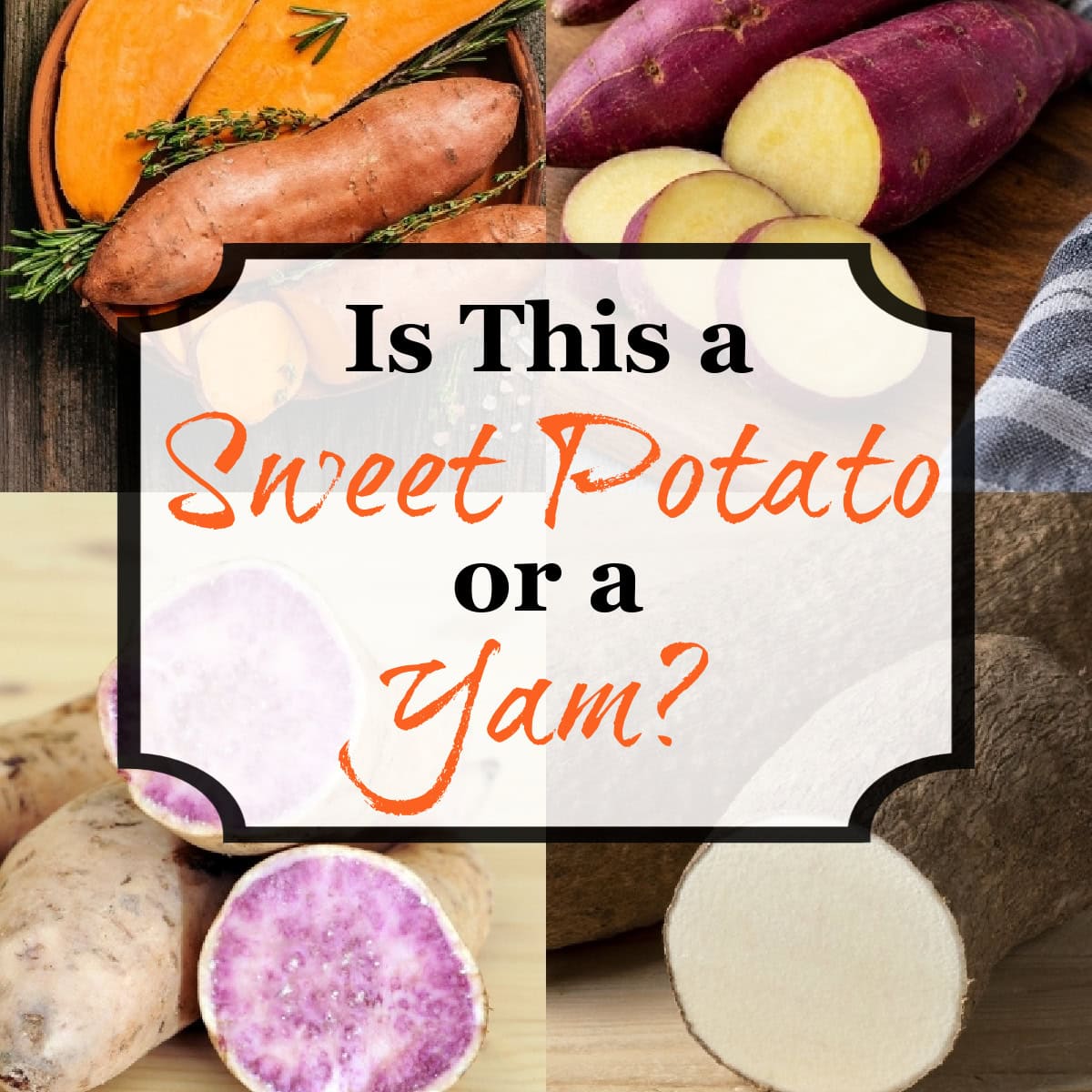 Difference Between Yam and Sweet Potato square.