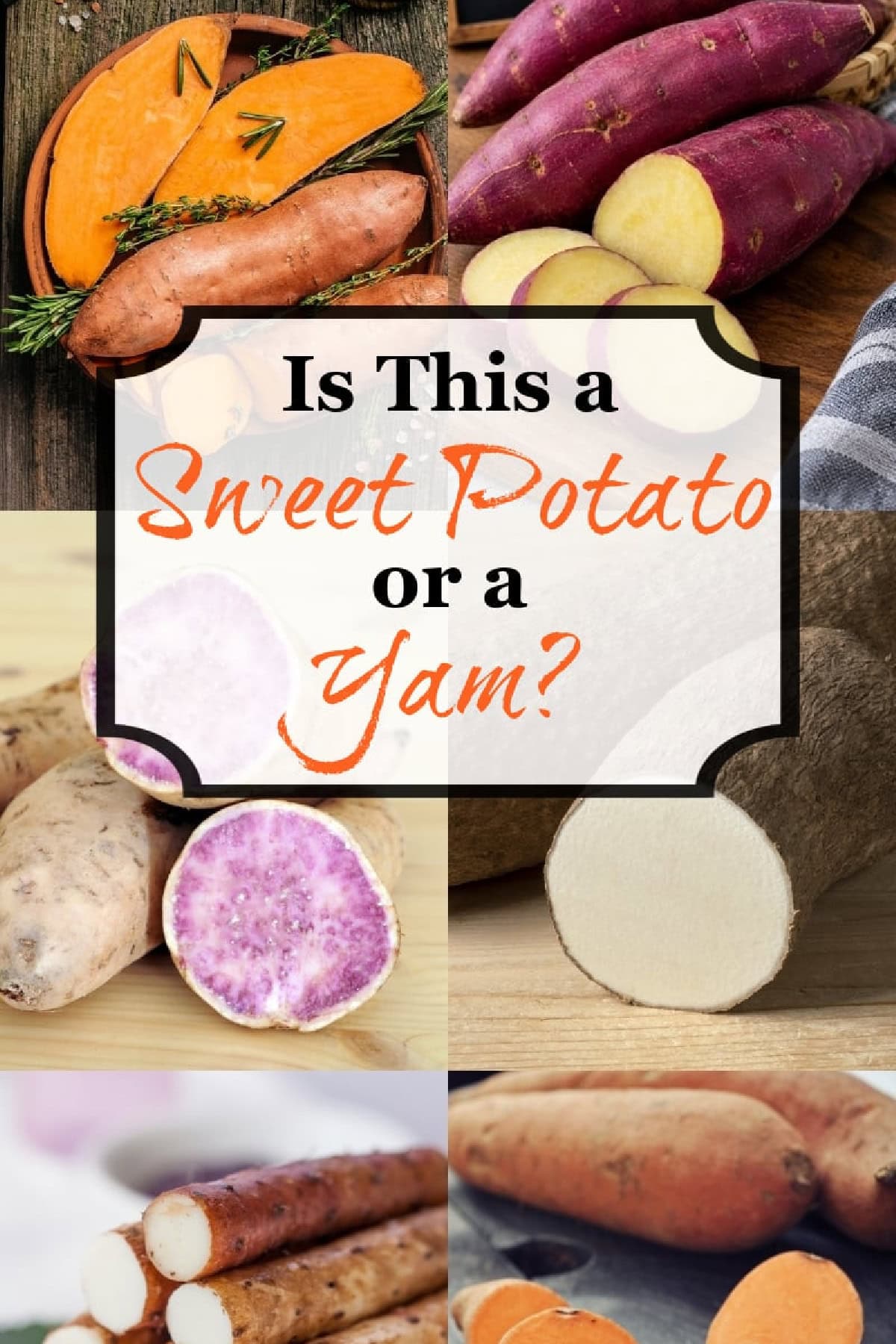 Difference Between Yam and Sweet Potato - Noshing With the Nolands