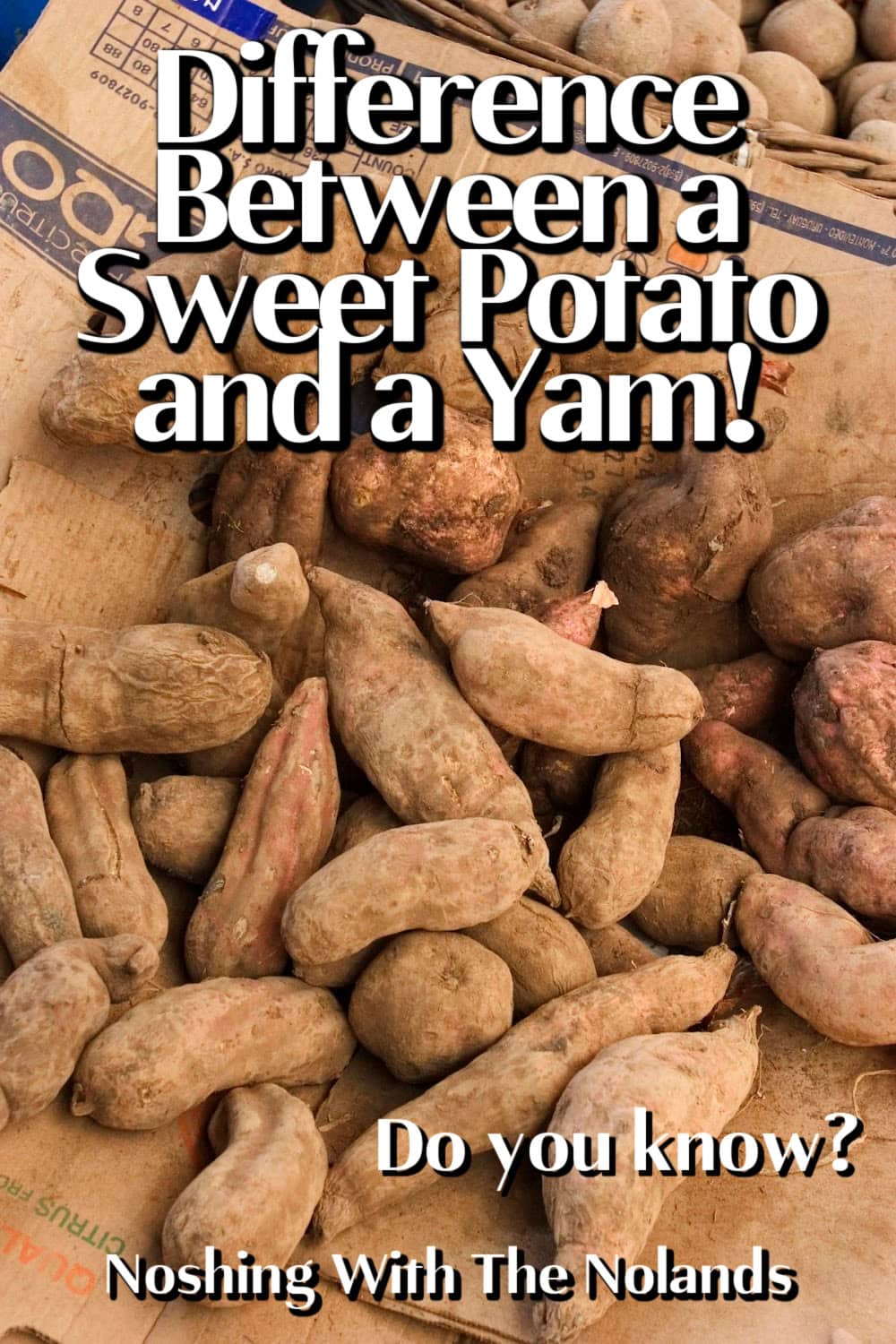 Difference Between Yam and Sweet Potato pin.