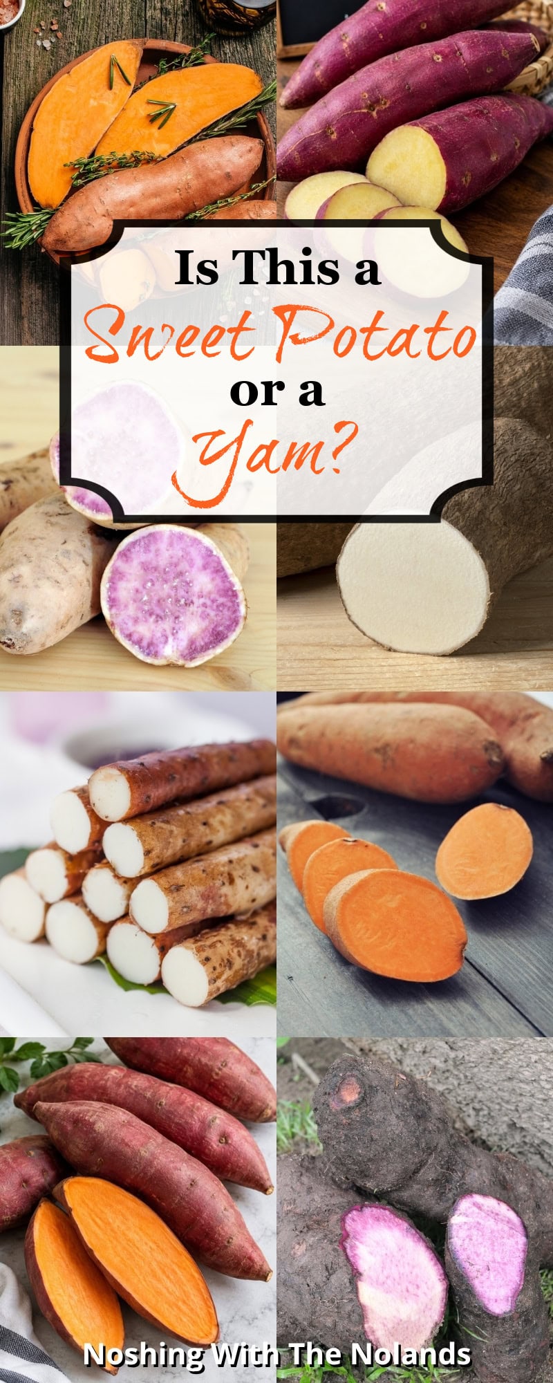 Difference Between Yam and Sweet Potato collage pin.